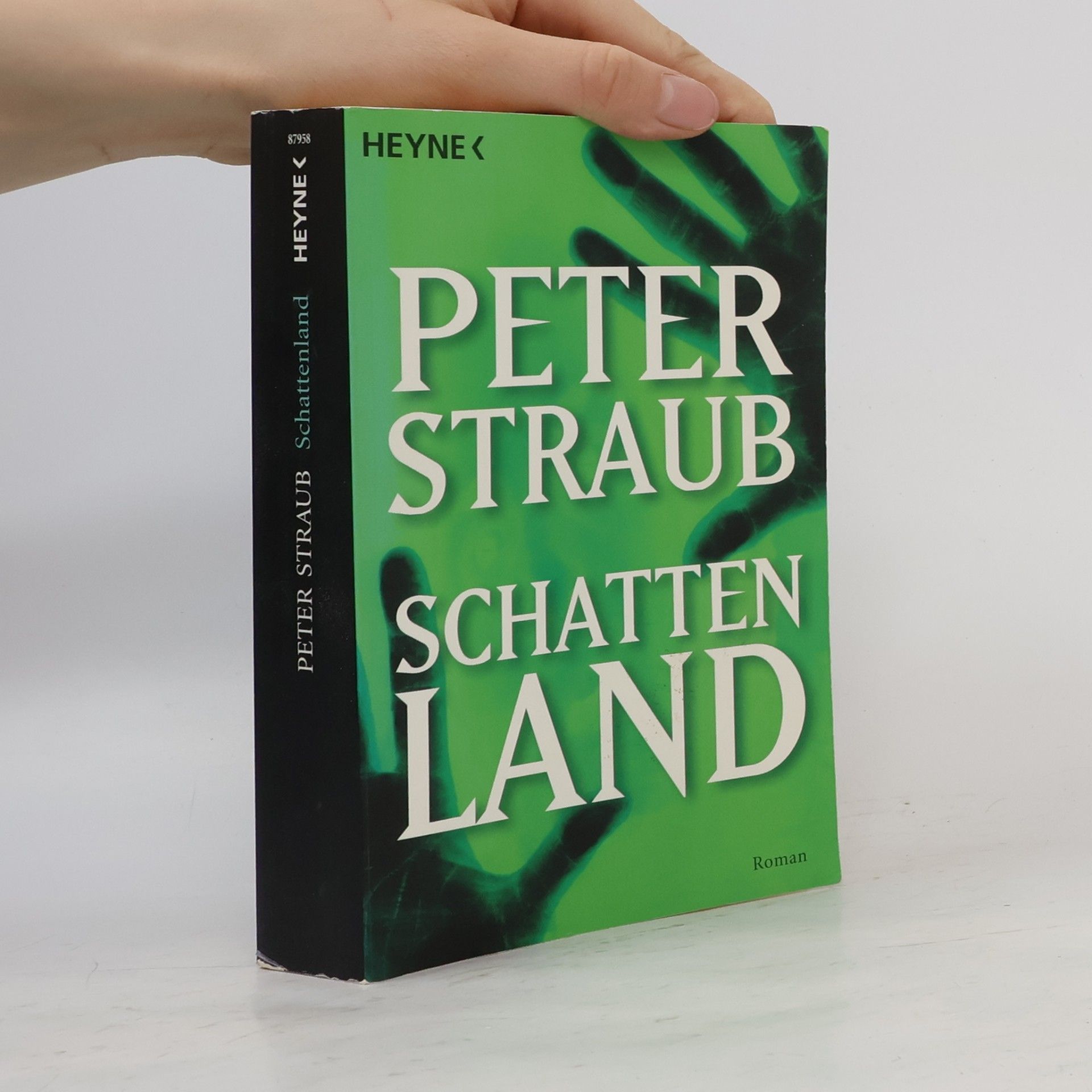 Peter Straub Schattenland