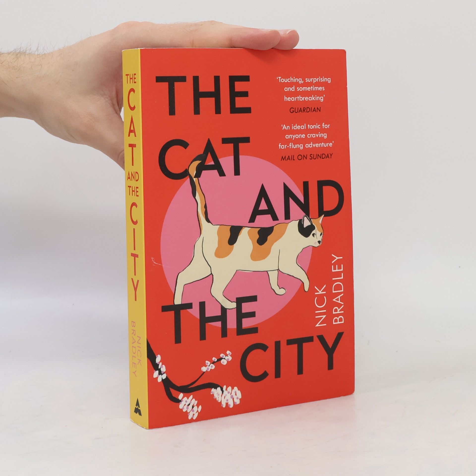 Nick Bradley The Cat and the City