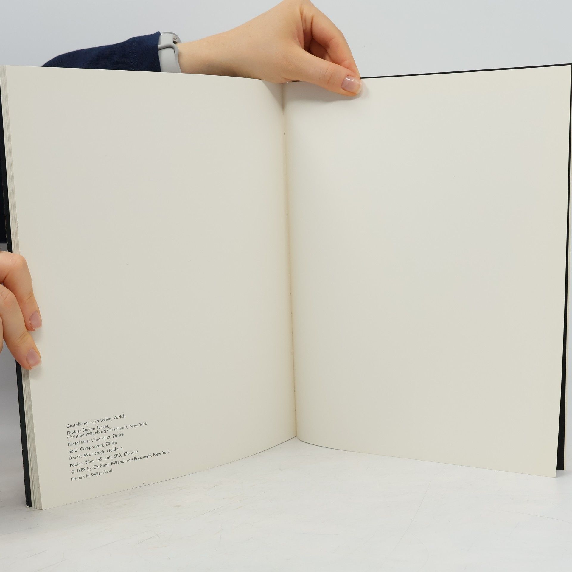 kolektiv Christian Peltenburg-Brechneff Paintings 1983-1988