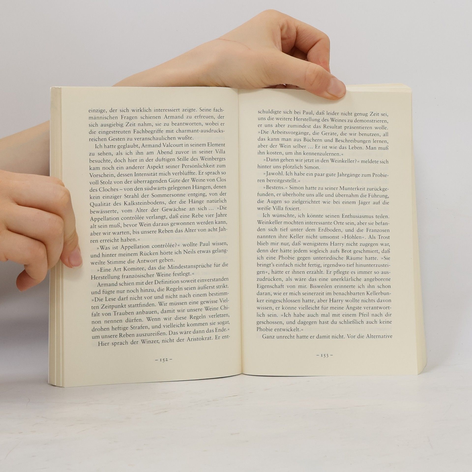Susanna Kearsley Glanz und Schatten