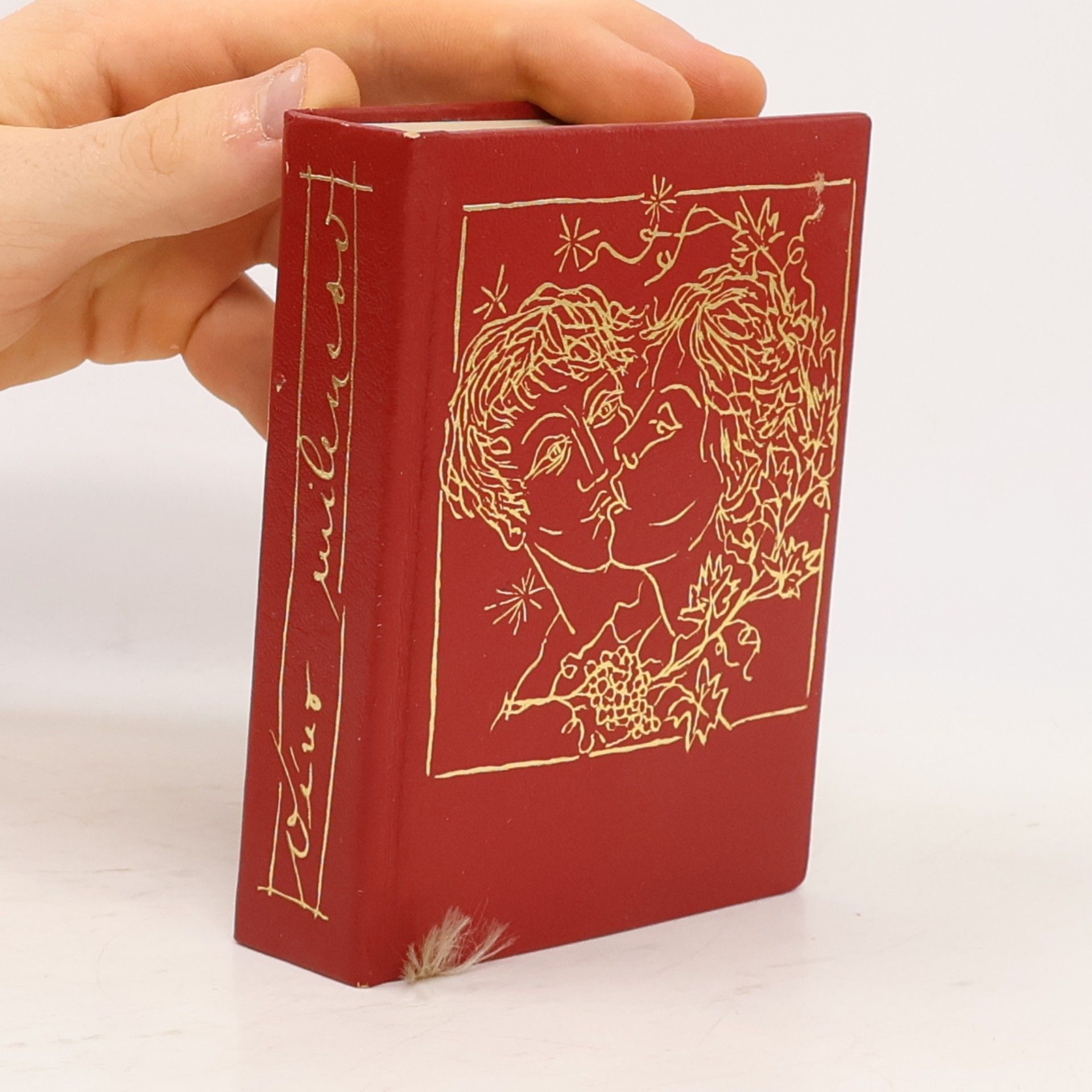 Paul Verlaine Víno milencov