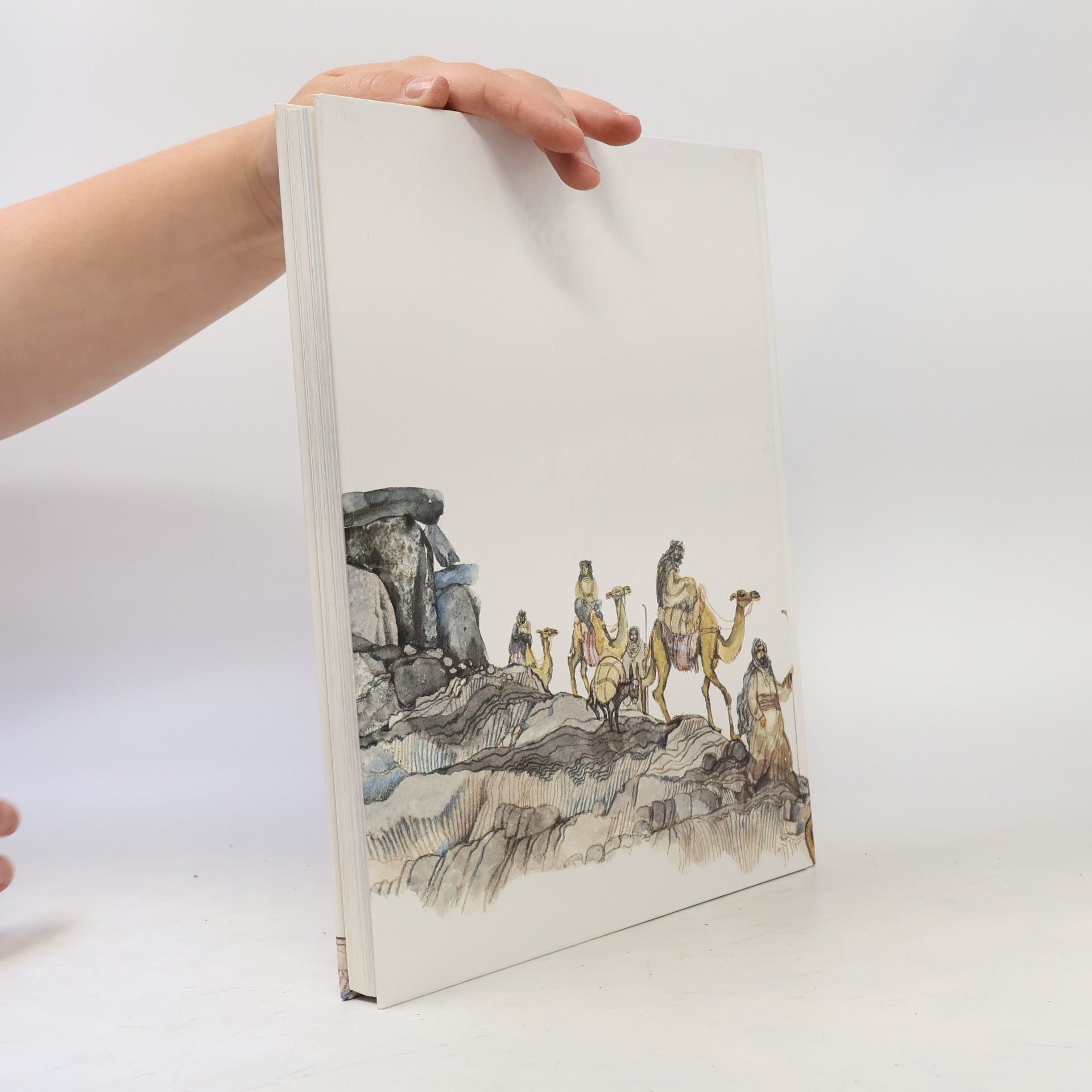 Auteurscollectief Die Bible für Kinder