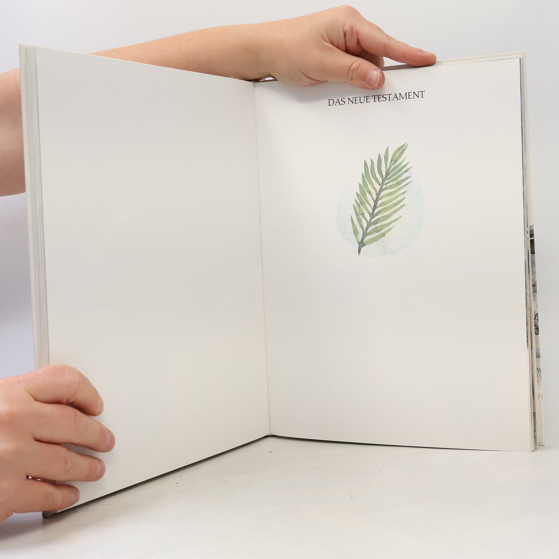 Auteurscollectief Die Bible für Kinder