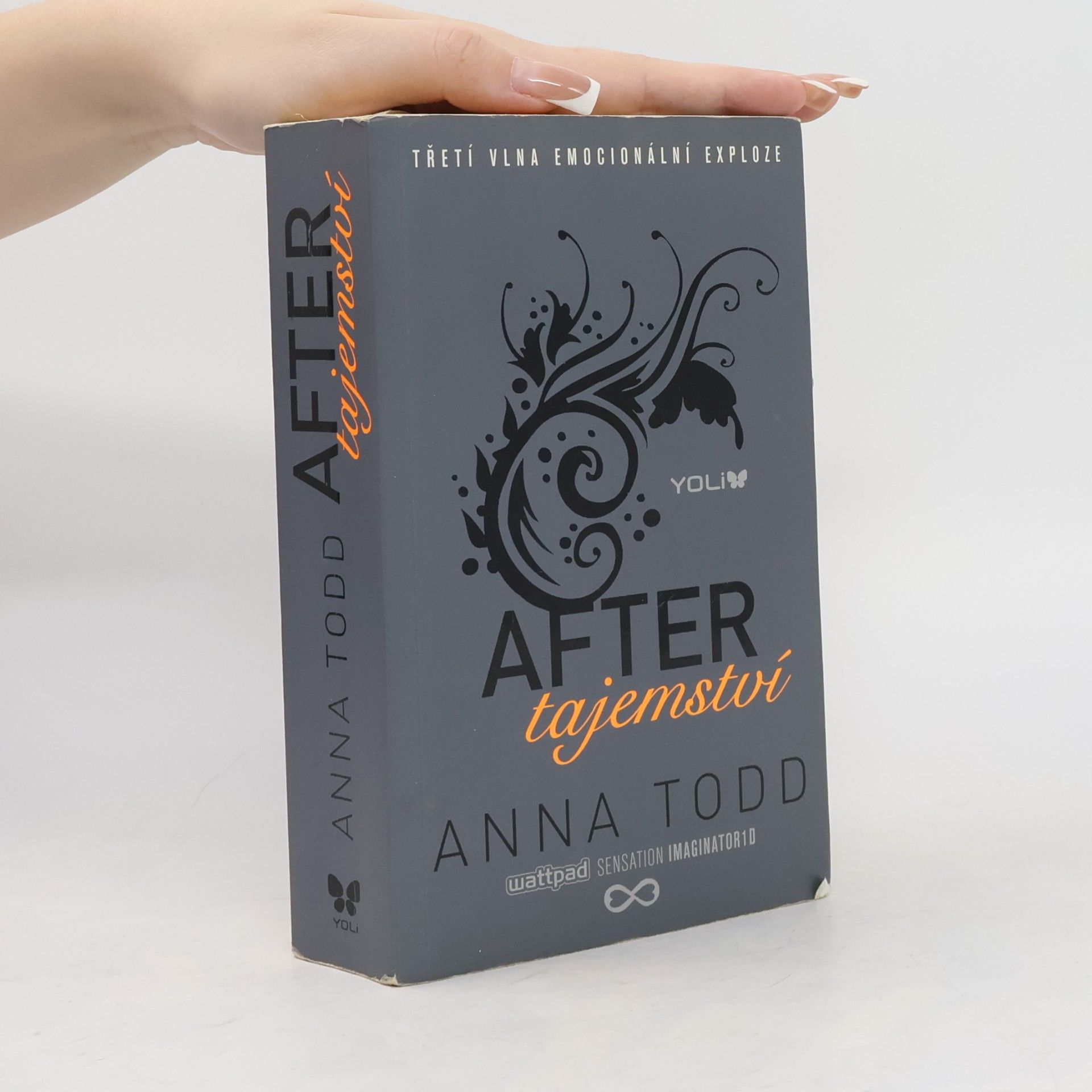 Anna Todd After. Tajemství