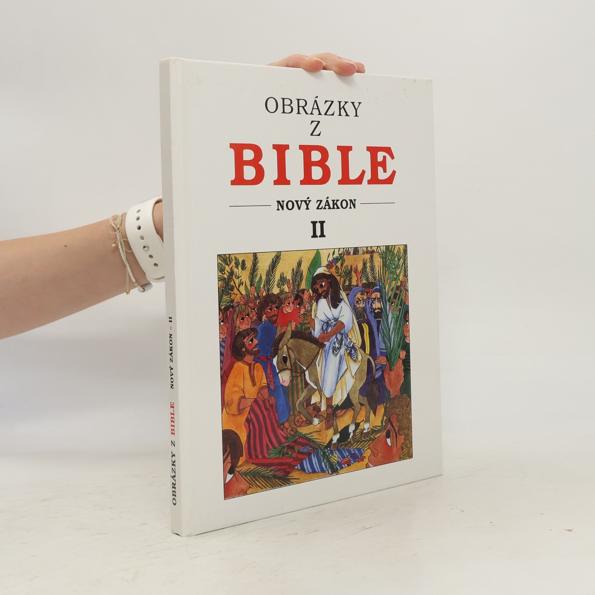 Kolektiv autorů Obrázky z Bible