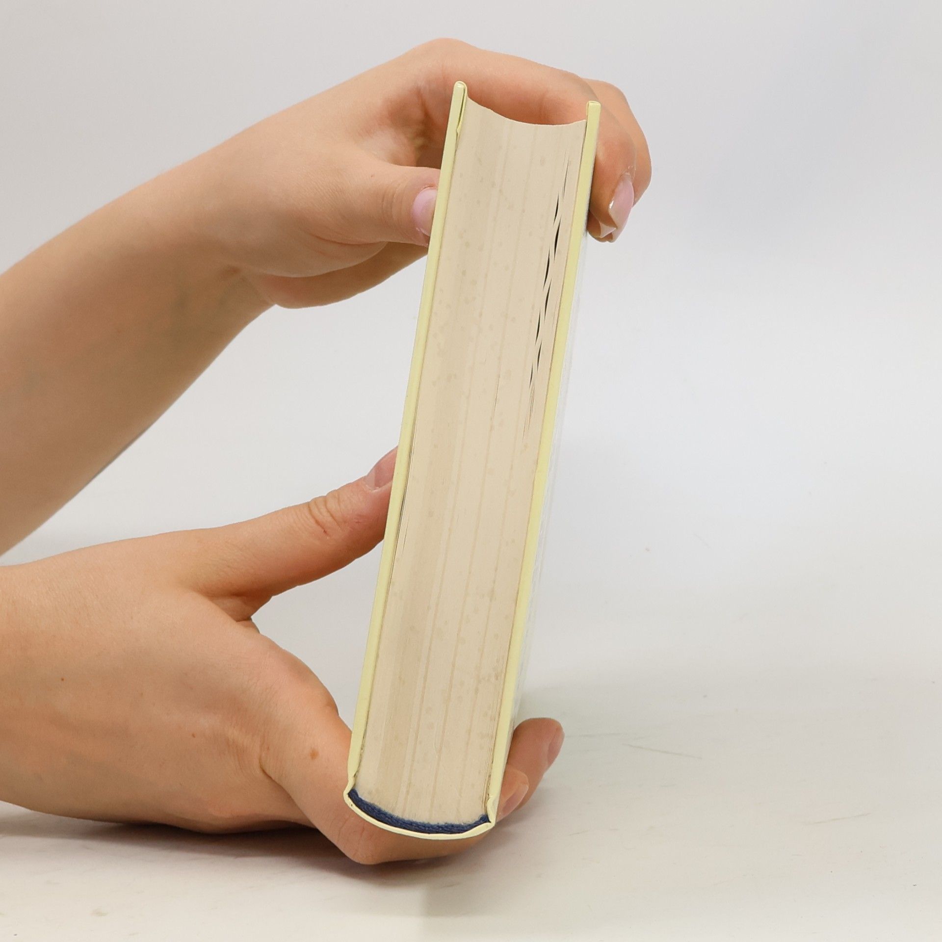 Ellen Breindl Das große Gesundheitsbuch der Hl. Hildegard von Bingen