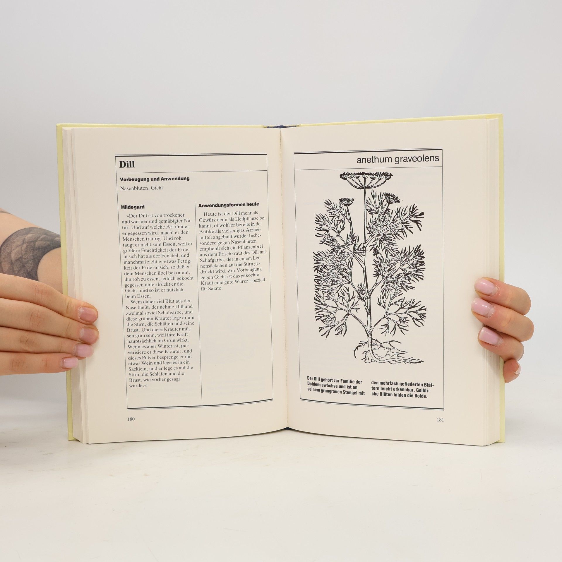 Ellen Breindl Das große Gesundheitsbuch der Hl. Hildegard von Bingen