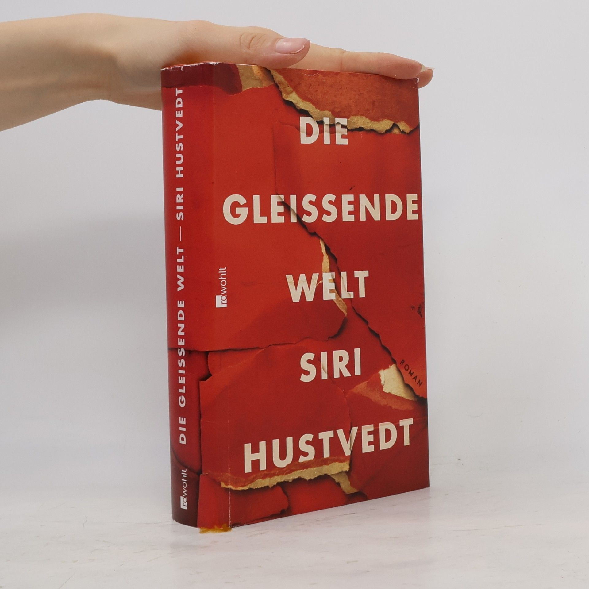 Siri Hustvedt Die gleissende Welt