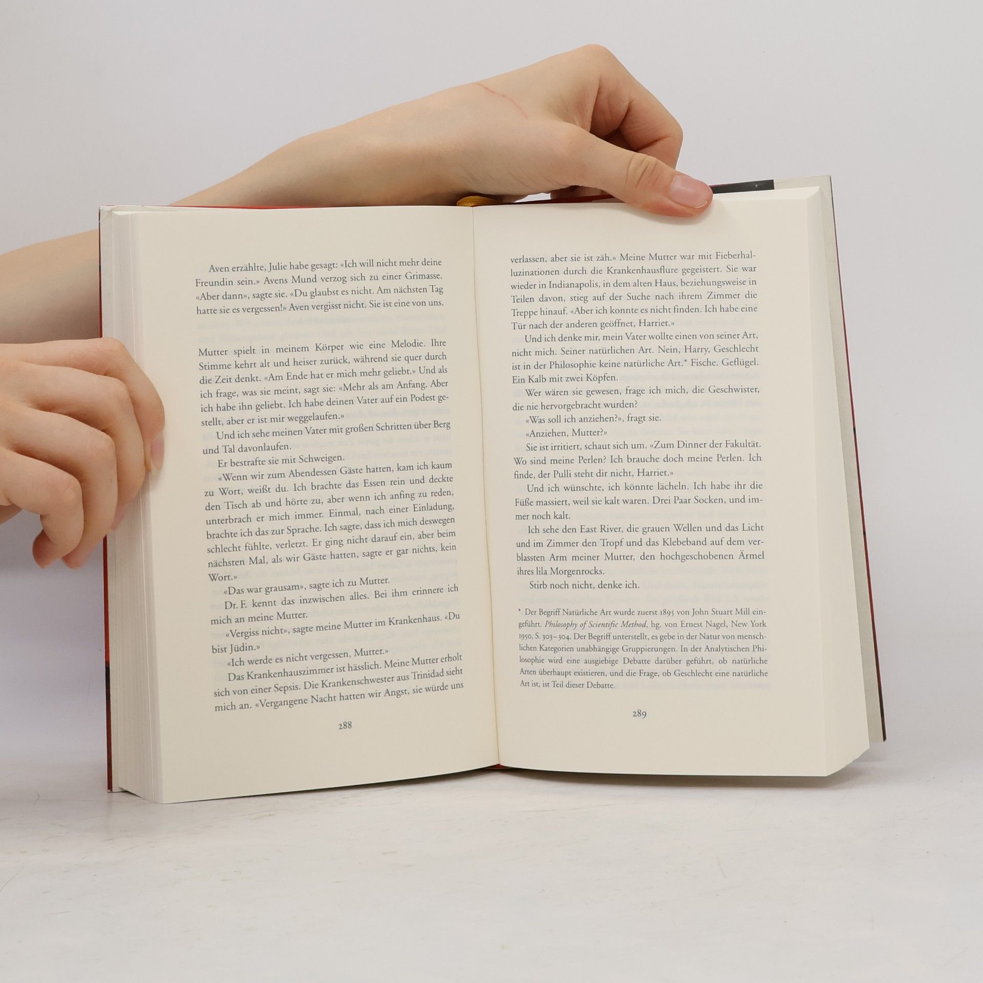 Siri Hustvedt Die gleissende Welt