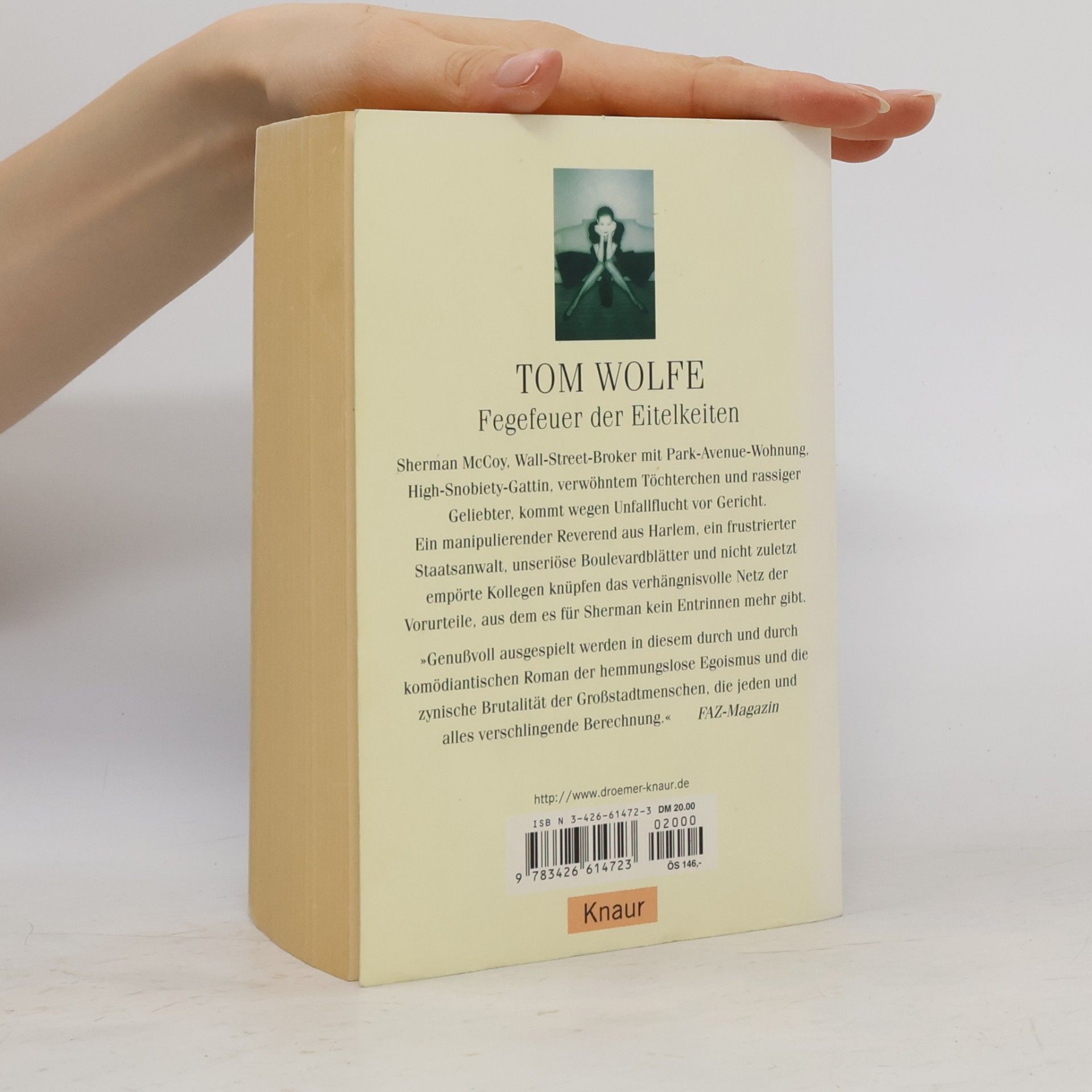 Tom Wolfe Fegefeuer der Eitelkeiten