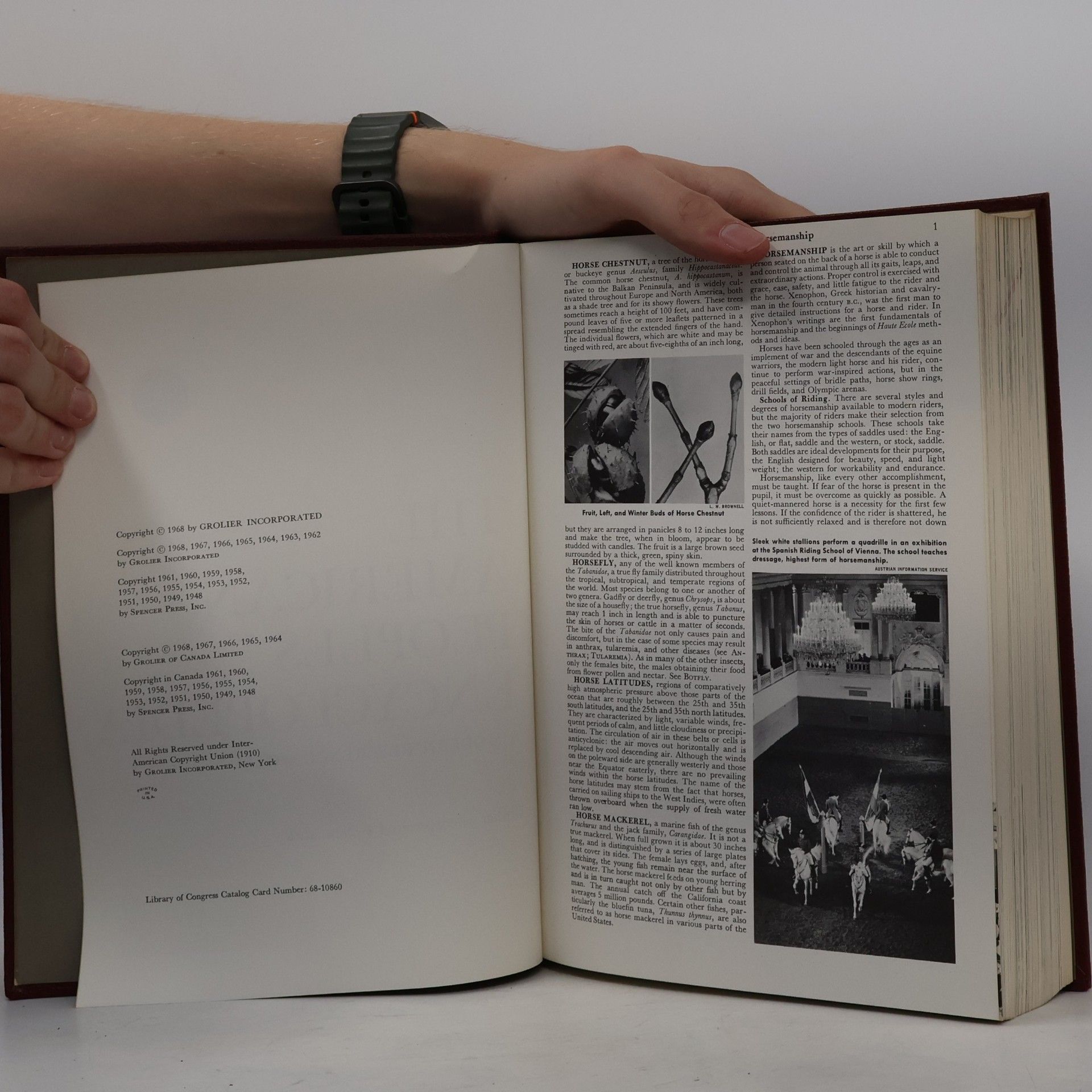 Autorenkollektiv The American Peoples Encyklopedia 10