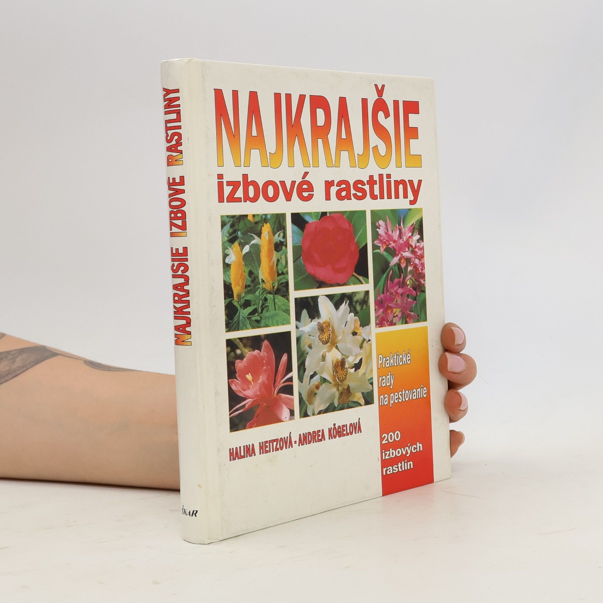 Najkrajšie izbové rastliny
