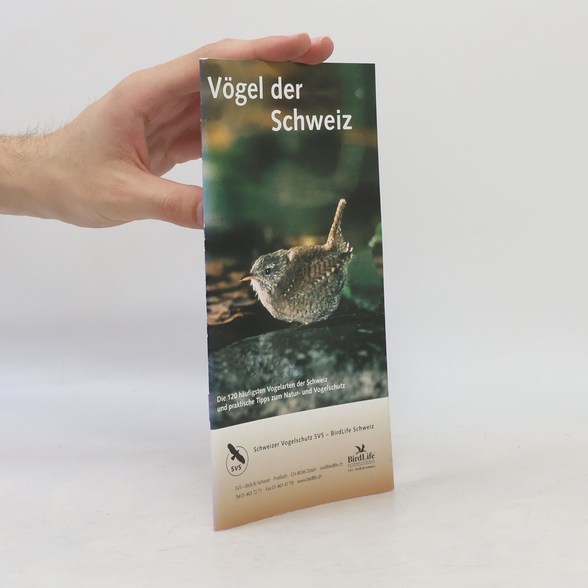 kolektiv Vögel der Schweiz
