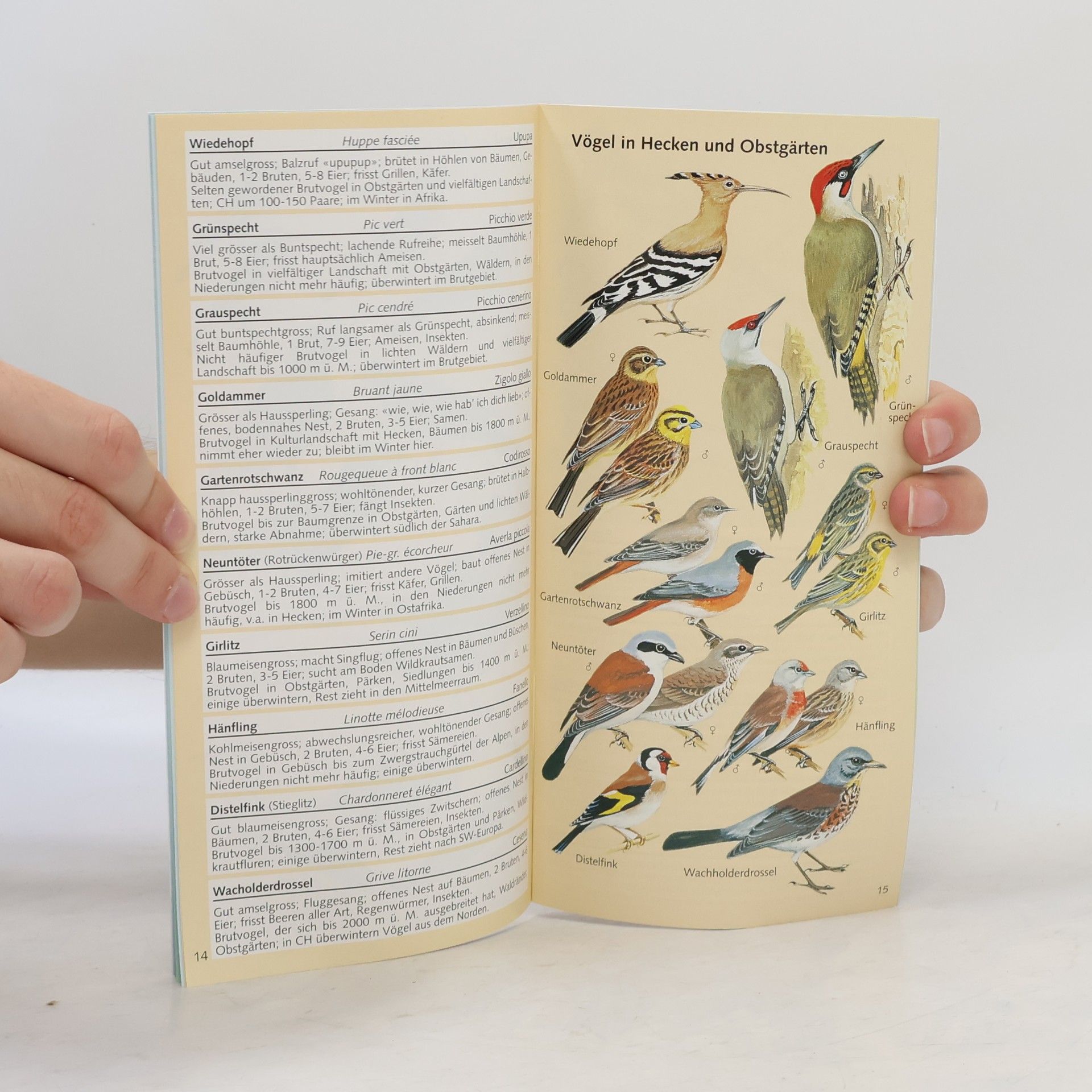 kolektiv Vögel der Schweiz