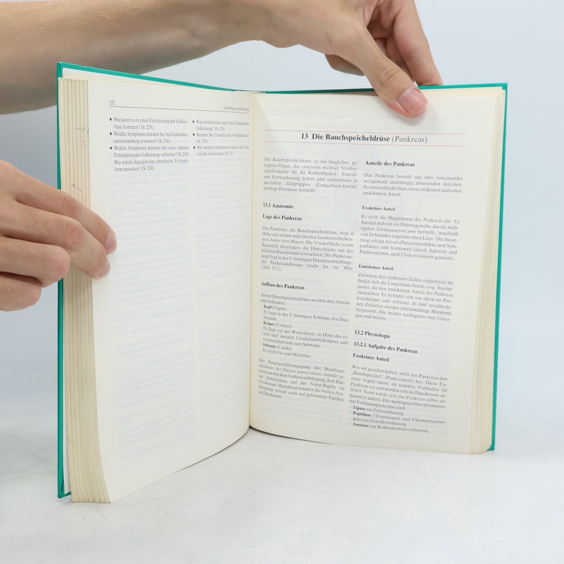 Isolde Richter Lehrbuch für Heilpraktiker
