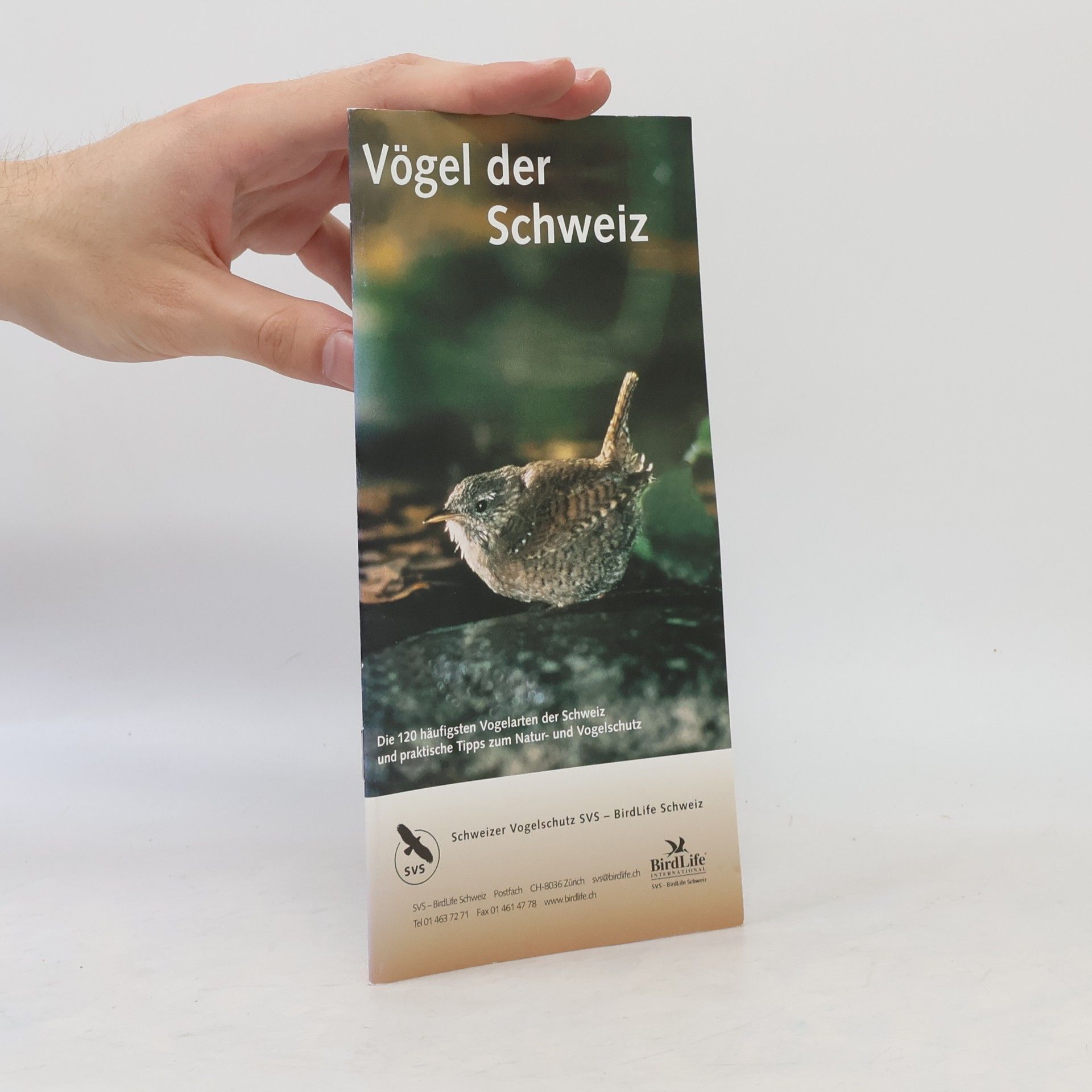 kolektiv Vögel der Schweiz