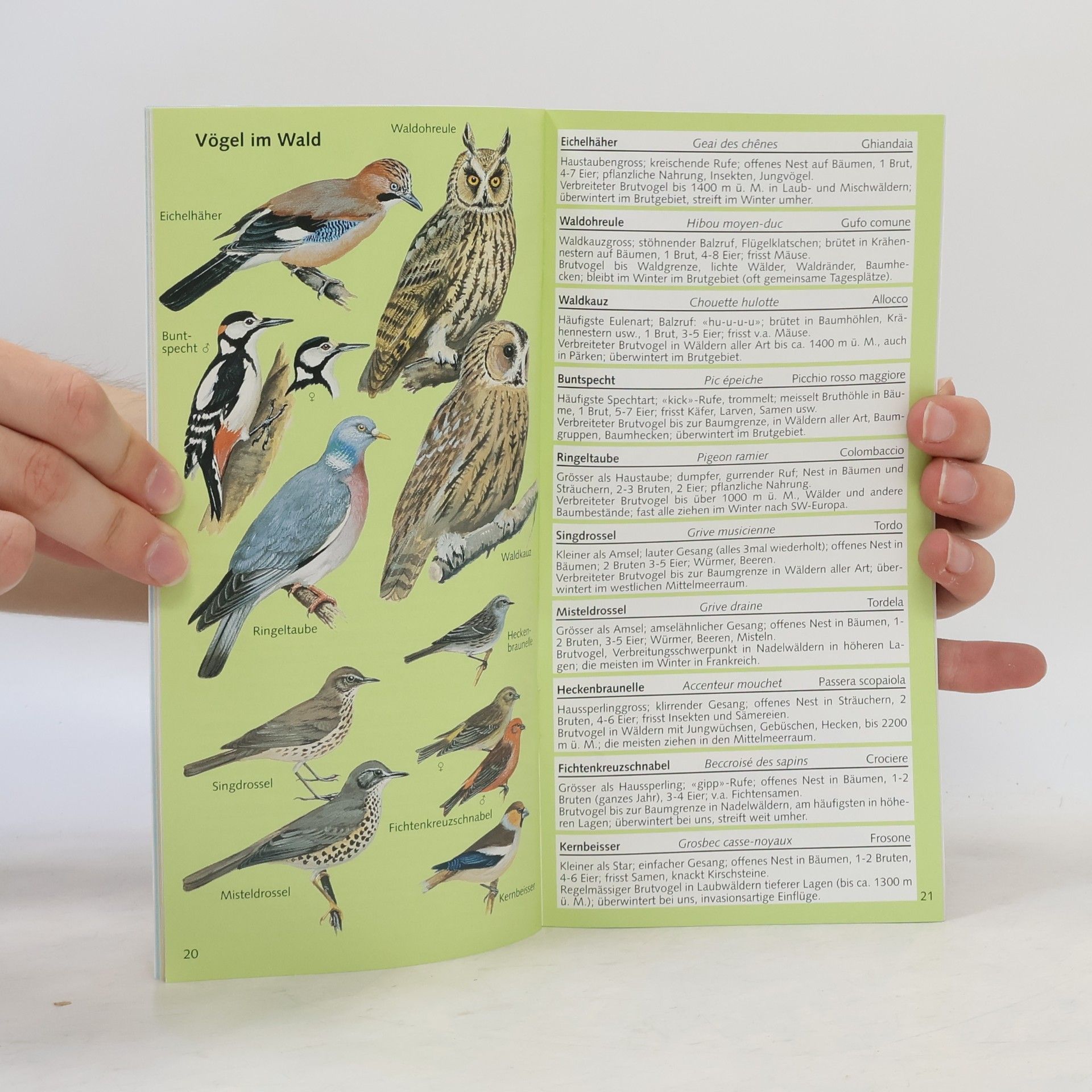 kolektiv Vögel der Schweiz