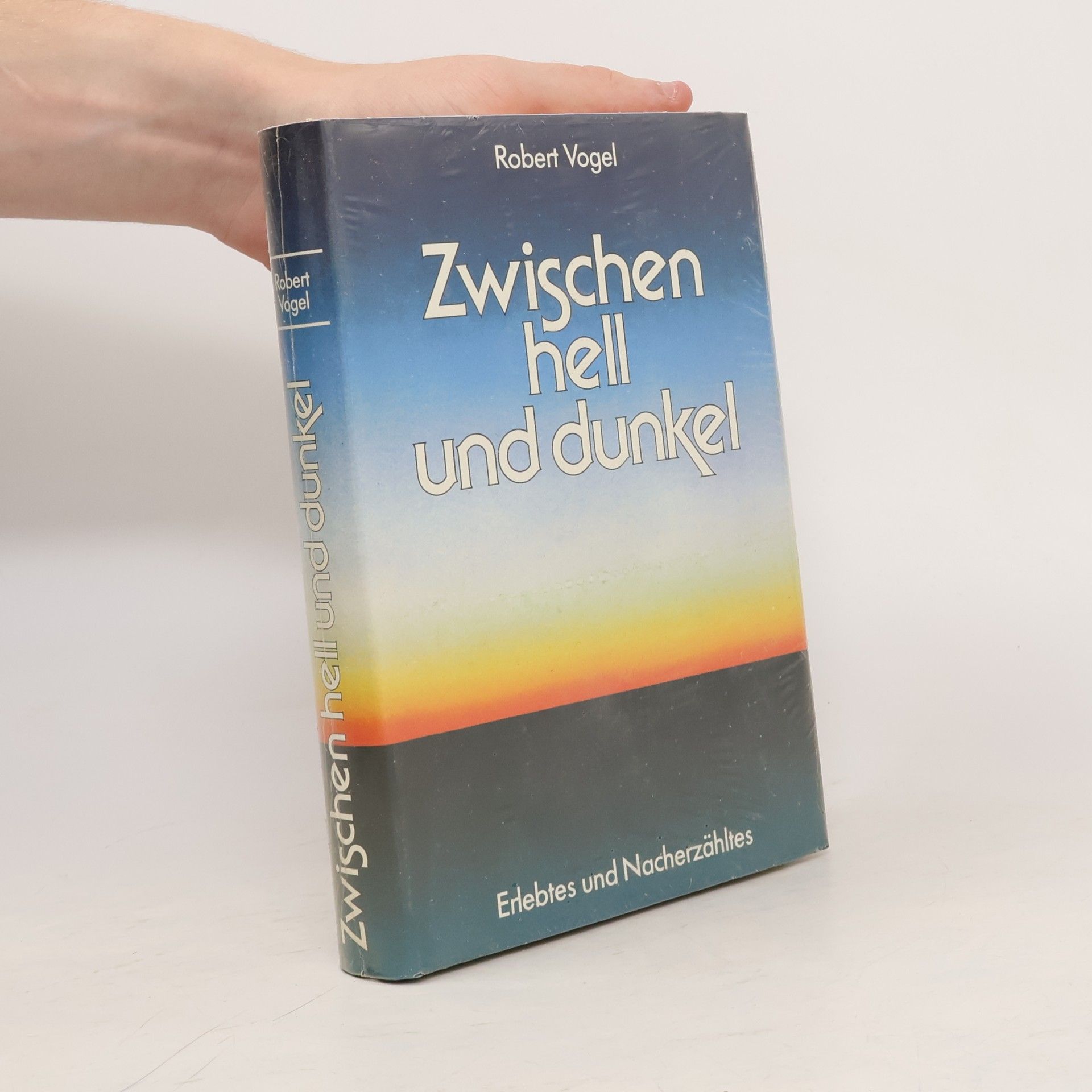 Robert Vogel Zwischen hell und dunkel