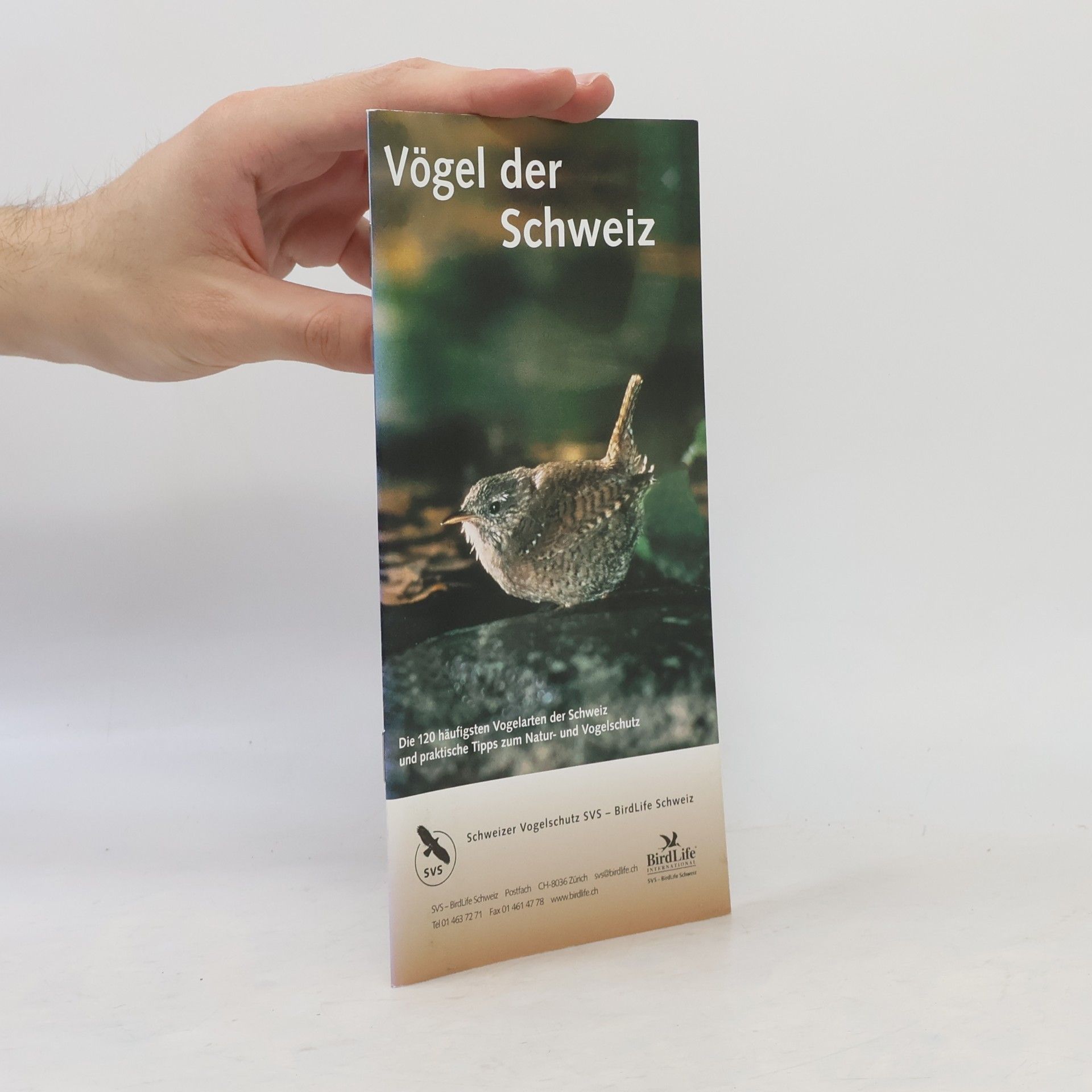 kolektiv Vögel der Schweiz