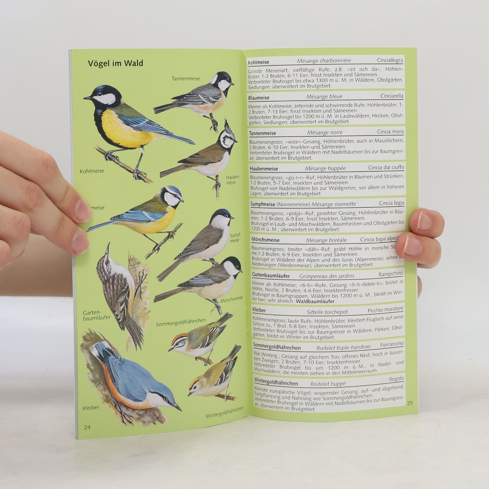 kolektiv Vögel der Schweiz