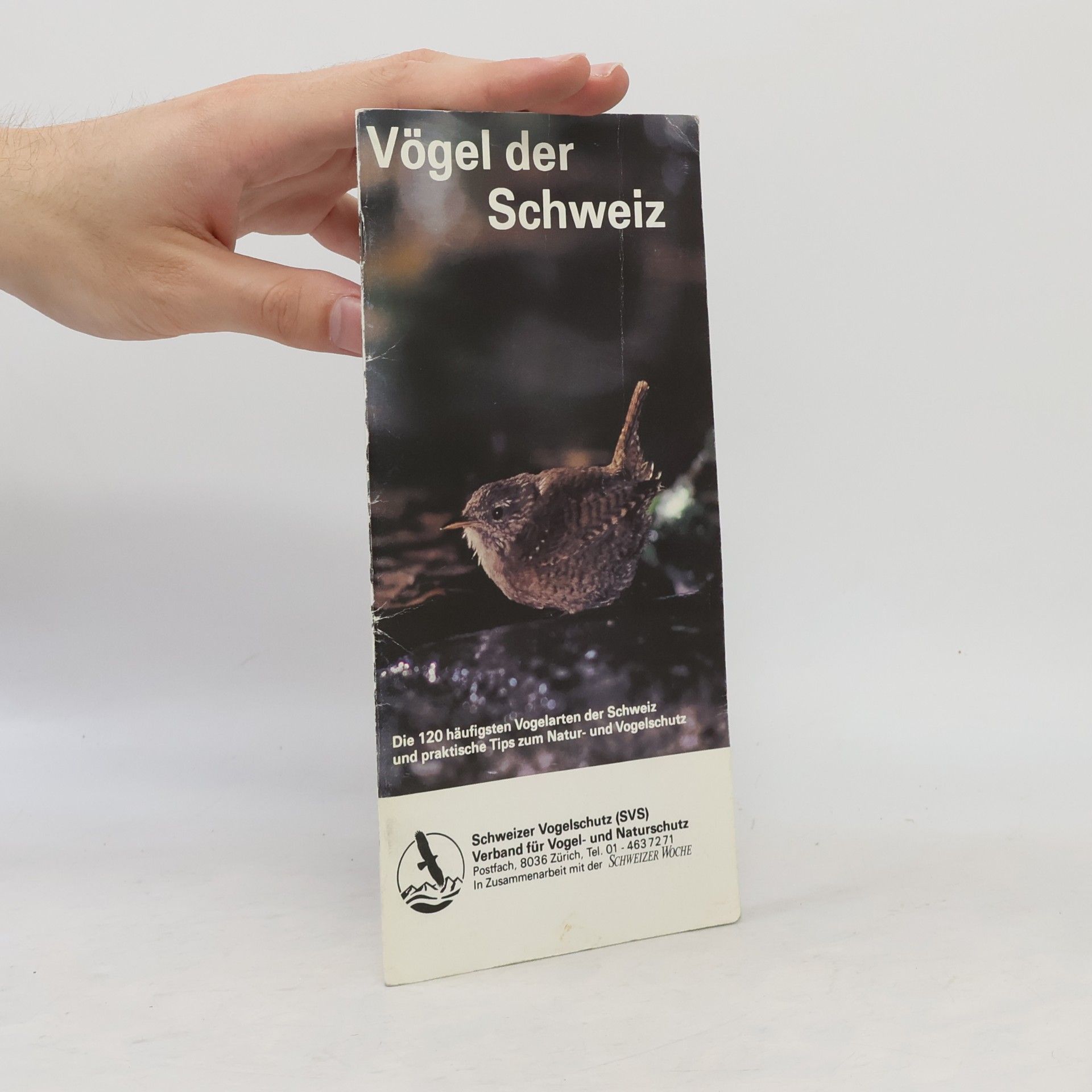 kolektiv Vögel der Schweiz
