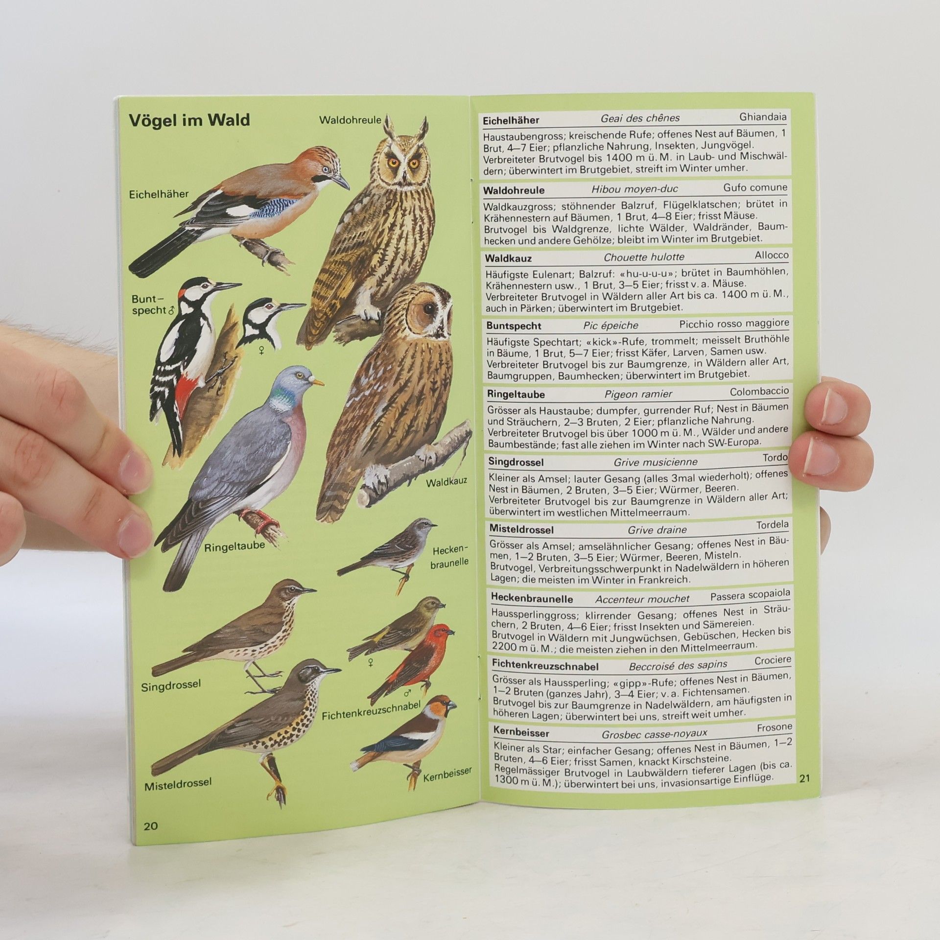 kolektiv Vögel der Schweiz