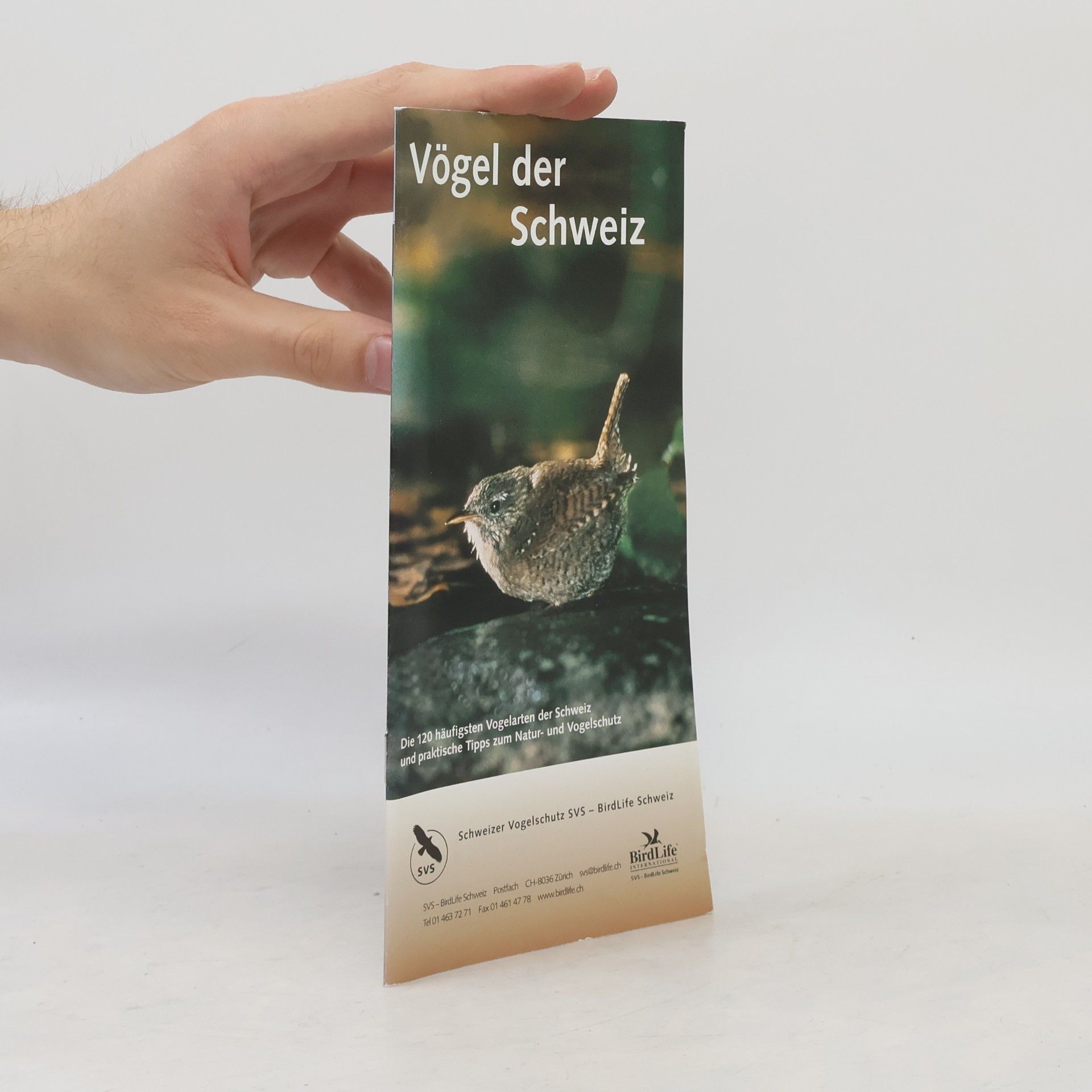 kolektiv Vögel der Schweiz