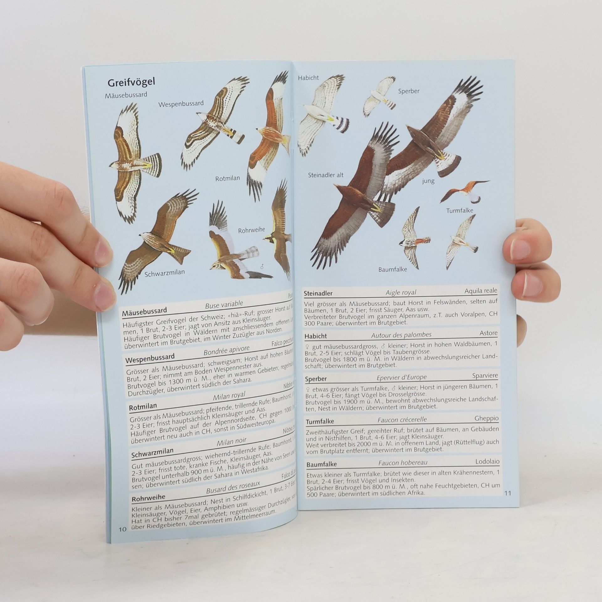 kolektiv Vögel der Schweiz