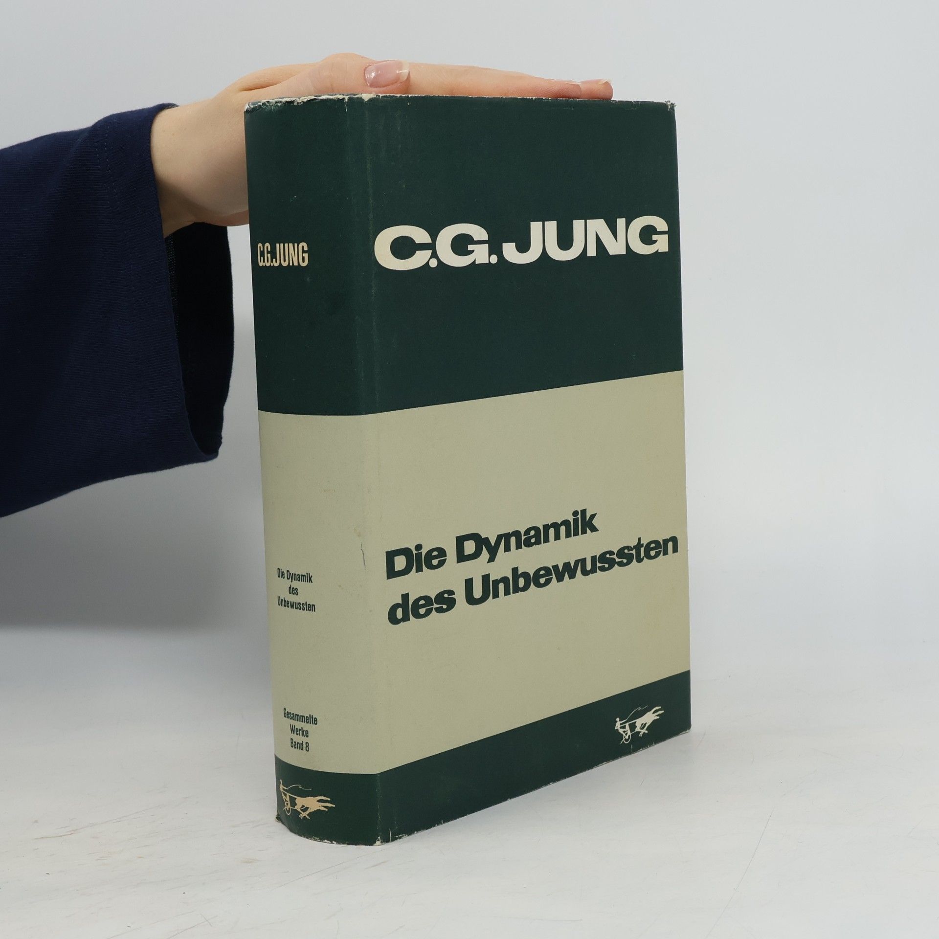 Carl Jung Die Dynamik des Unbewussten 8