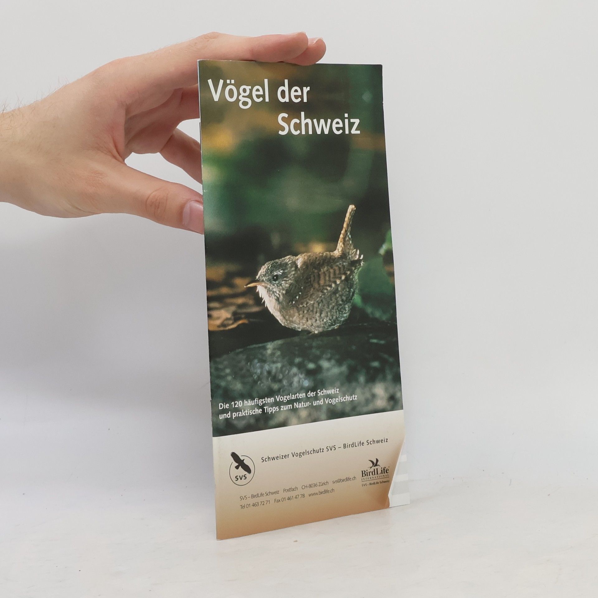 kolektiv Vögel der Schweiz