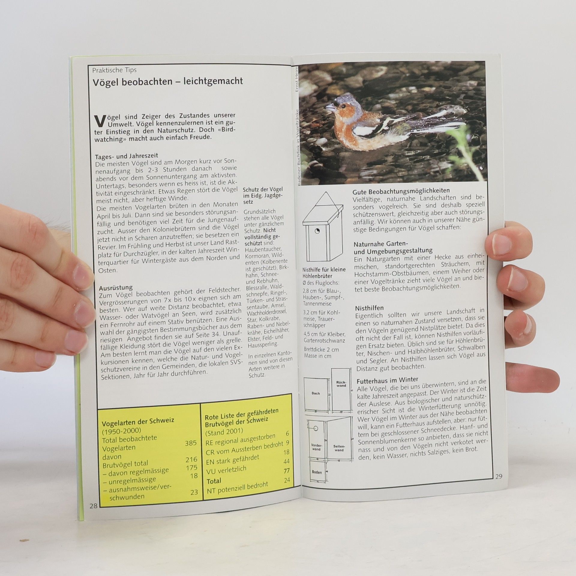 kolektiv Vögel der Schweiz