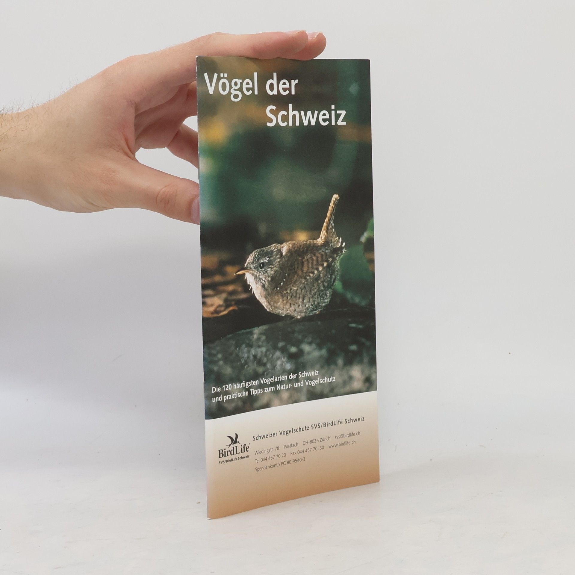 kolektiv Vögel der Schweiz