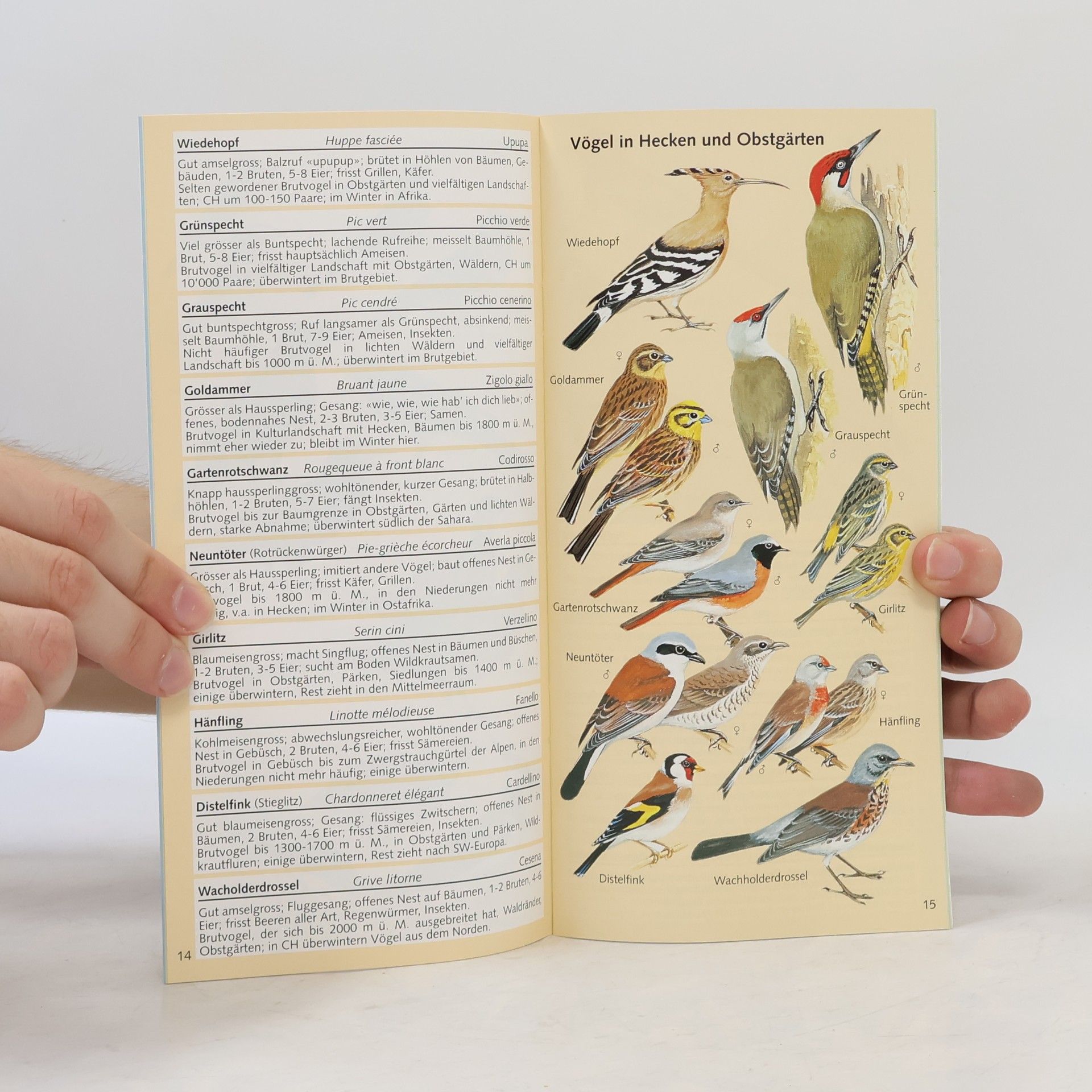 kolektiv Vögel der Schweiz