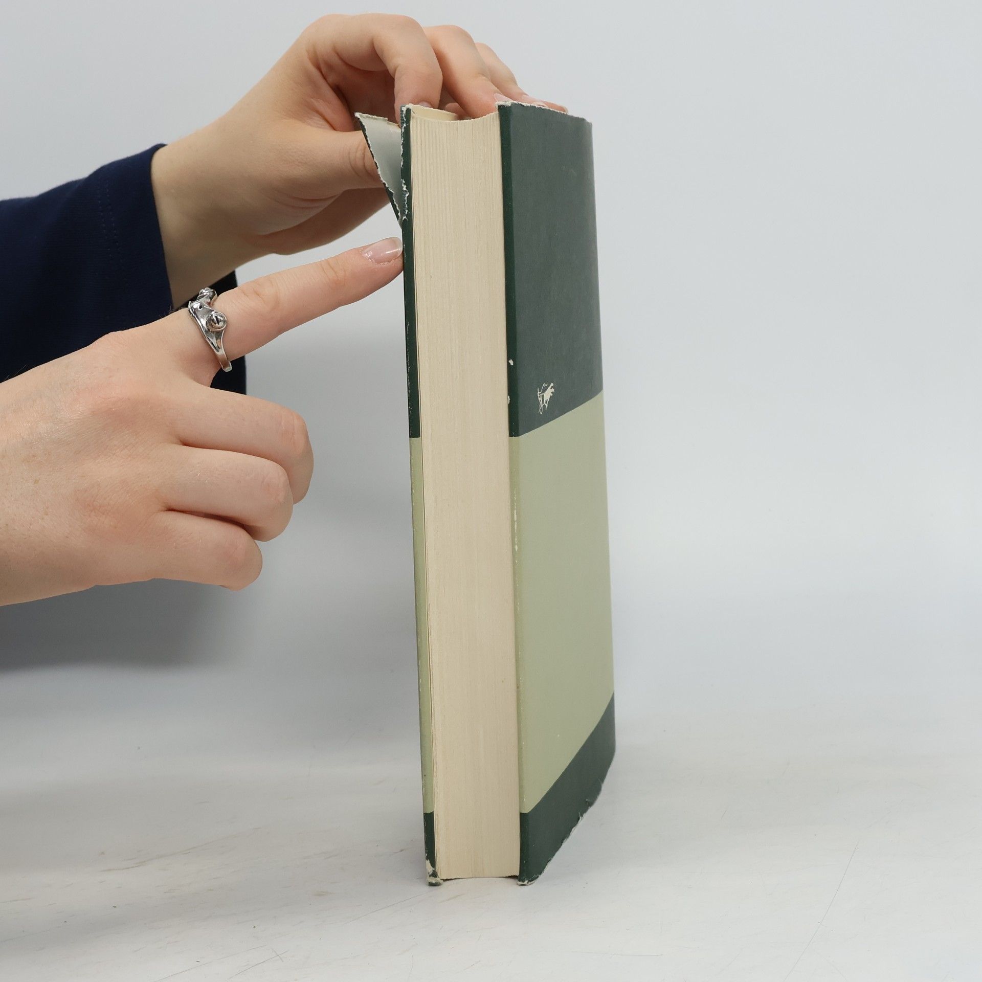 Carl Jung Zwei Schriften über Analytische Psychologie