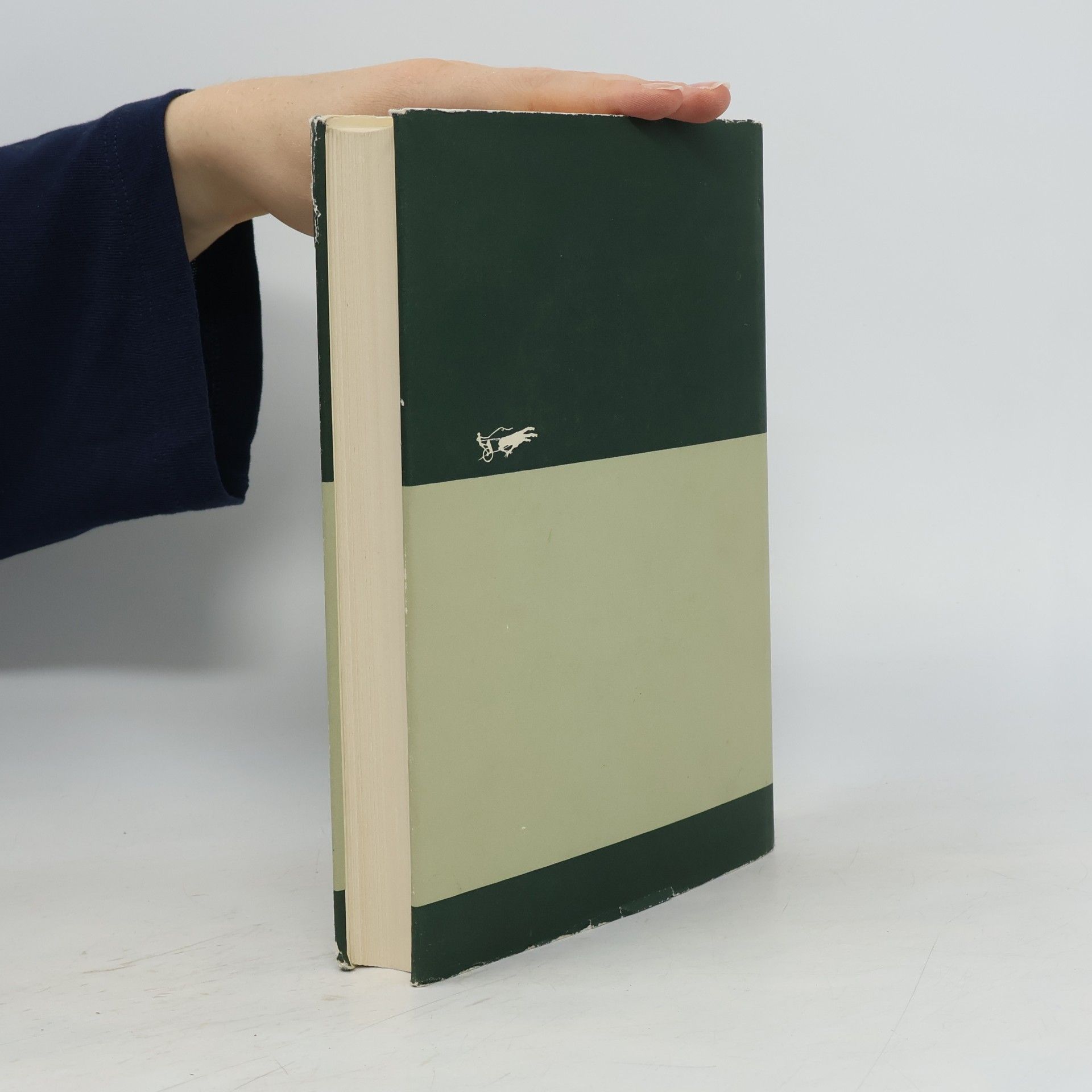Carl Jung Zwei Schriften über Analytische Psychologie