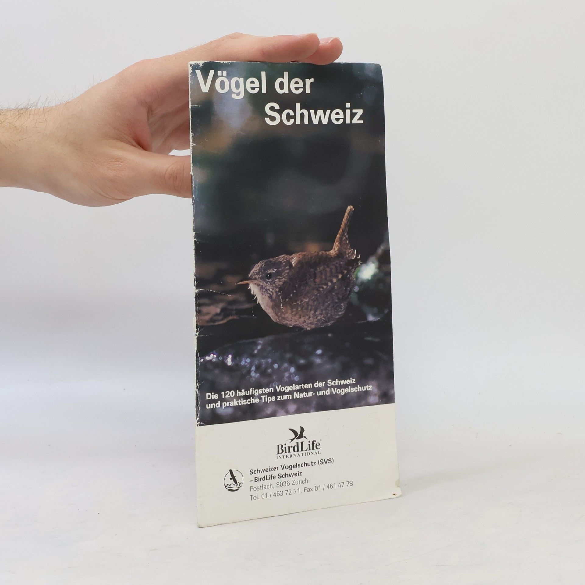 kolektiv Vögel der Schweiz