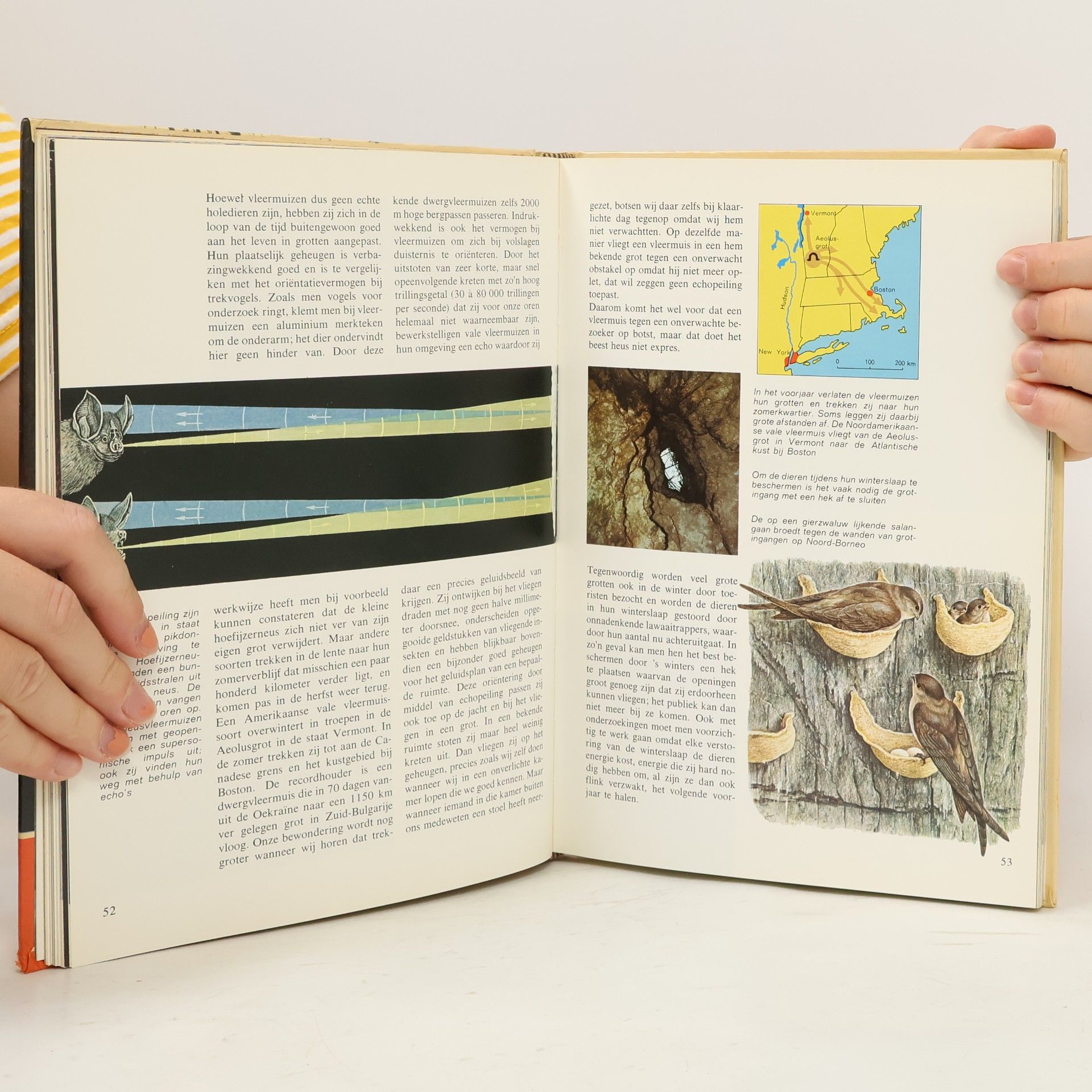 Various authors Wereld Zonder Zon