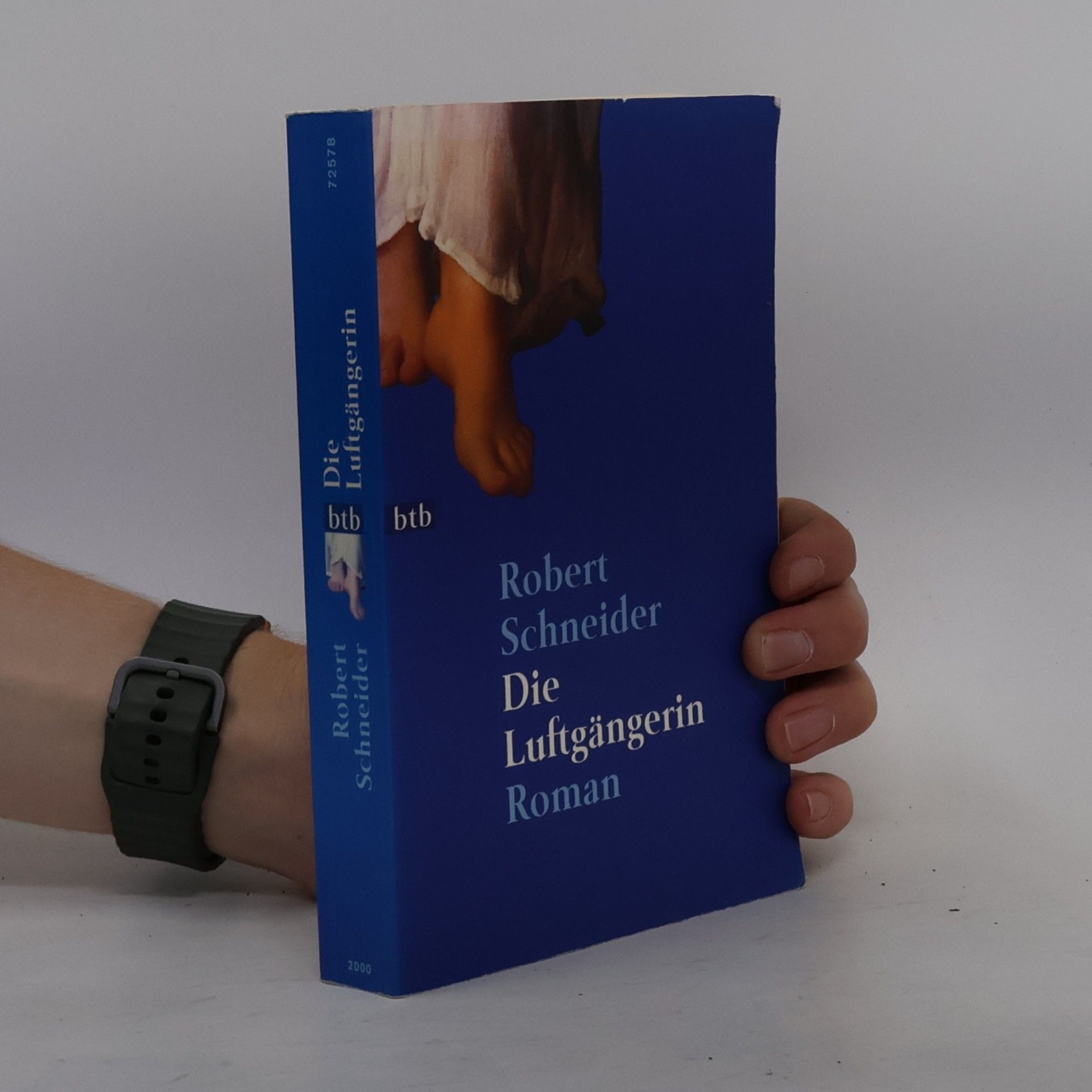 Robert Schneider Die Luftgängerin
