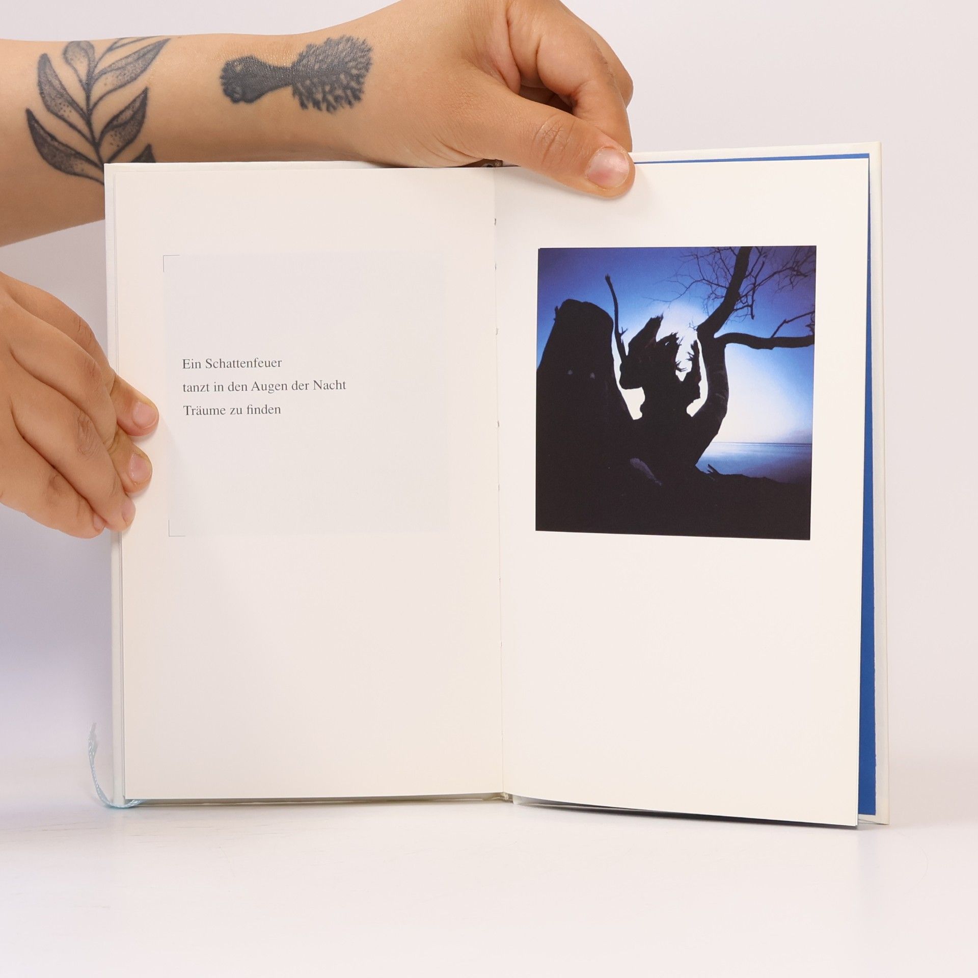 Volkmar Herre Blaues Licht