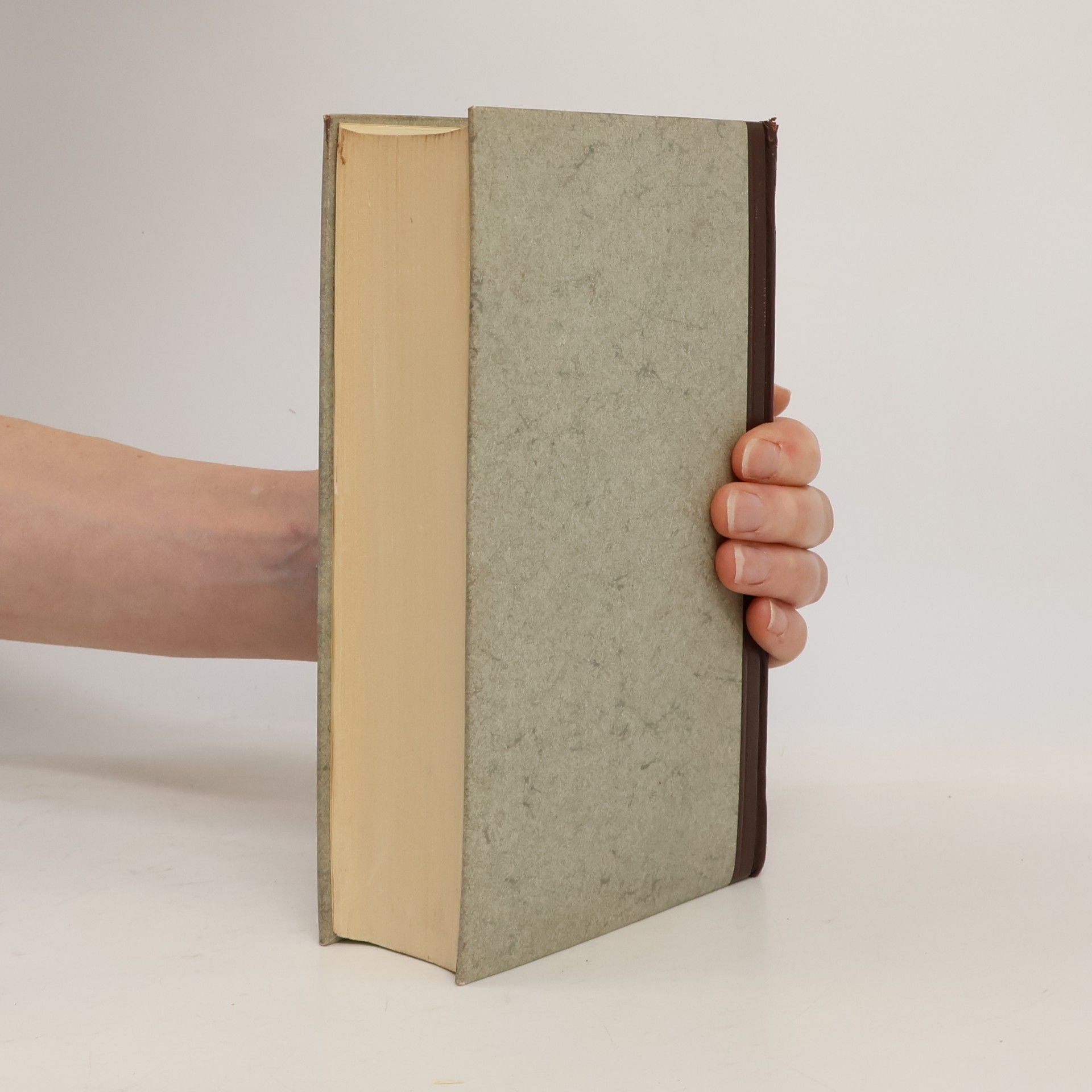 Johann Wolfgang von Goethe Gesammelte Werke I. Gedichte. Epen. Essays