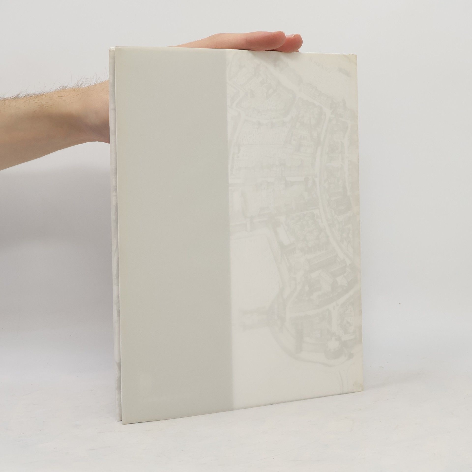 Robert Schiess Die Zunft- und Gesellschaftshäuser der Stadt Basel