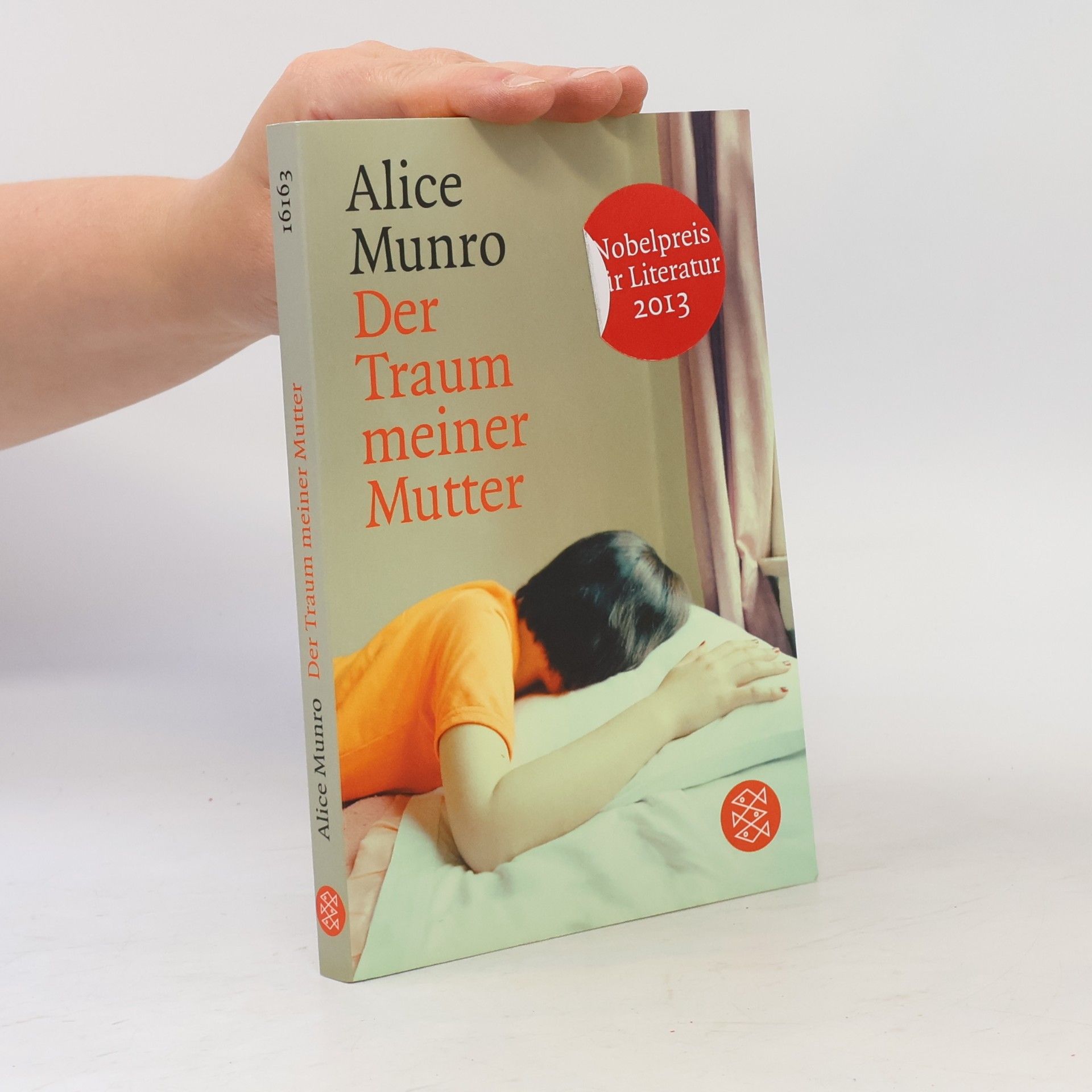 Alice Munro Der Traum meiner Mutter