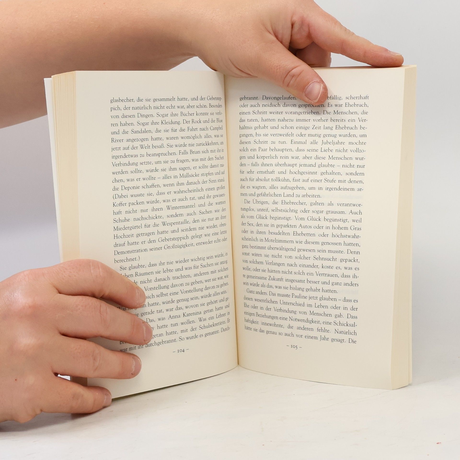 Alice Munro Der Traum meiner Mutter