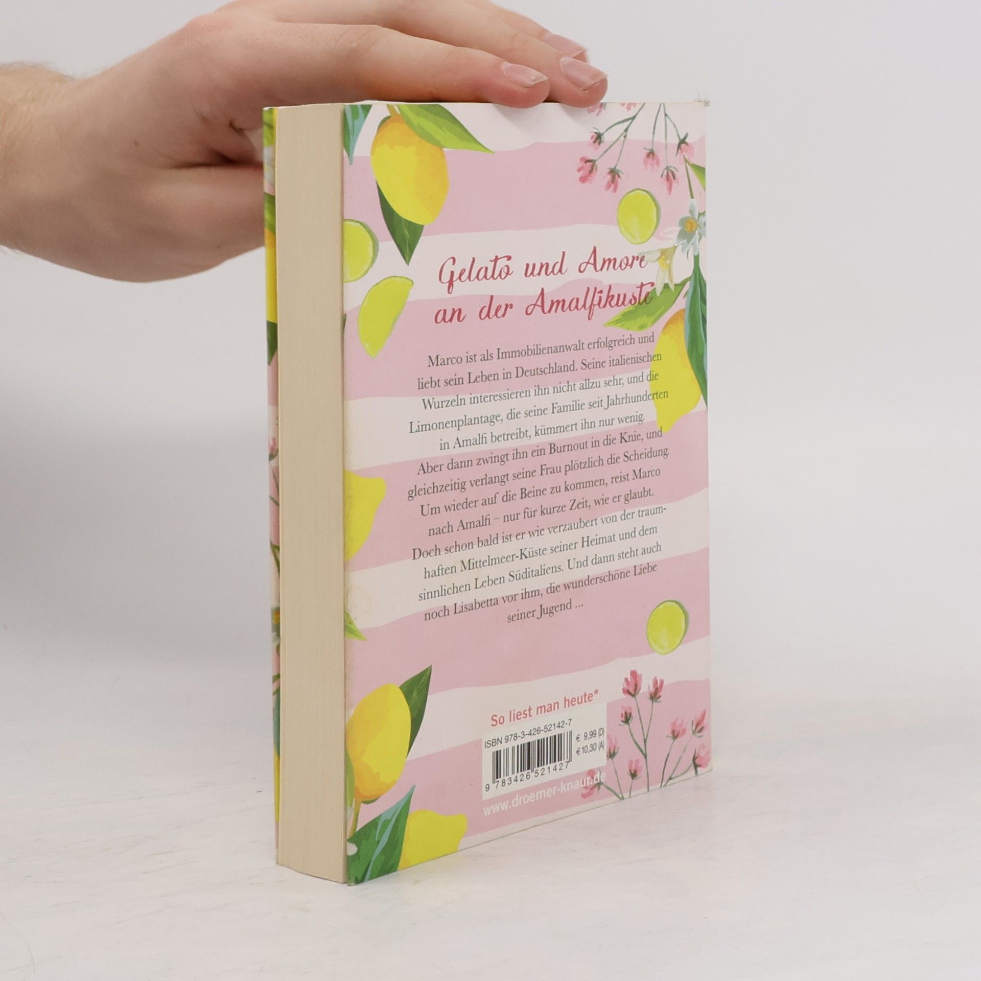 Marie Matisek Ein Sommer wie Limoneneis