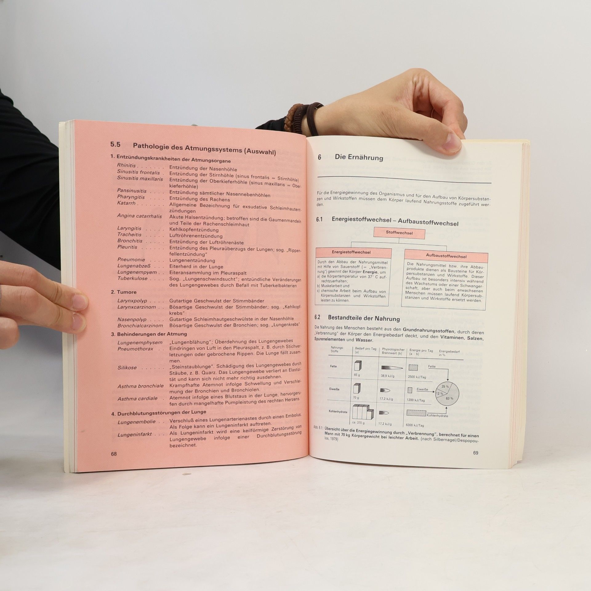 Astrid Schumacher Grundlagen der Anatomie, Physiologie und Pathologie