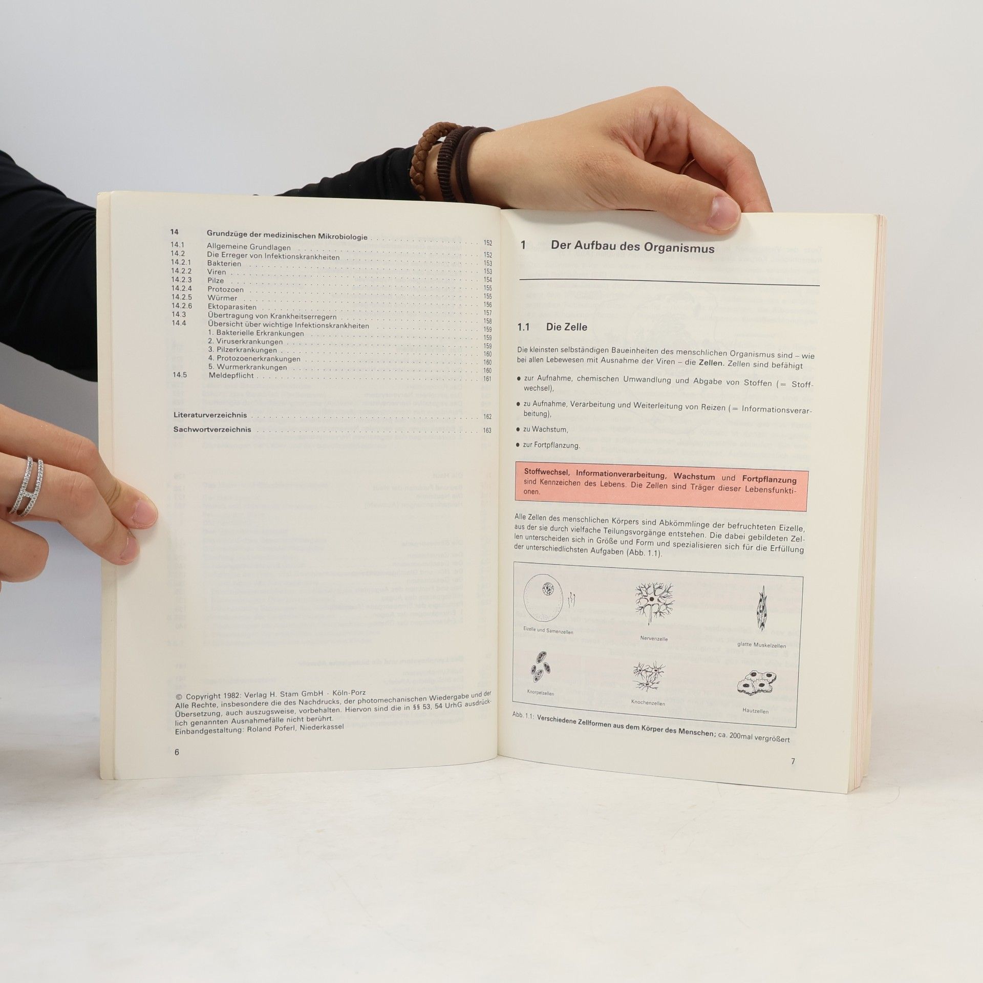 Astrid Schumacher Grundlagen der Anatomie, Physiologie und Pathologie