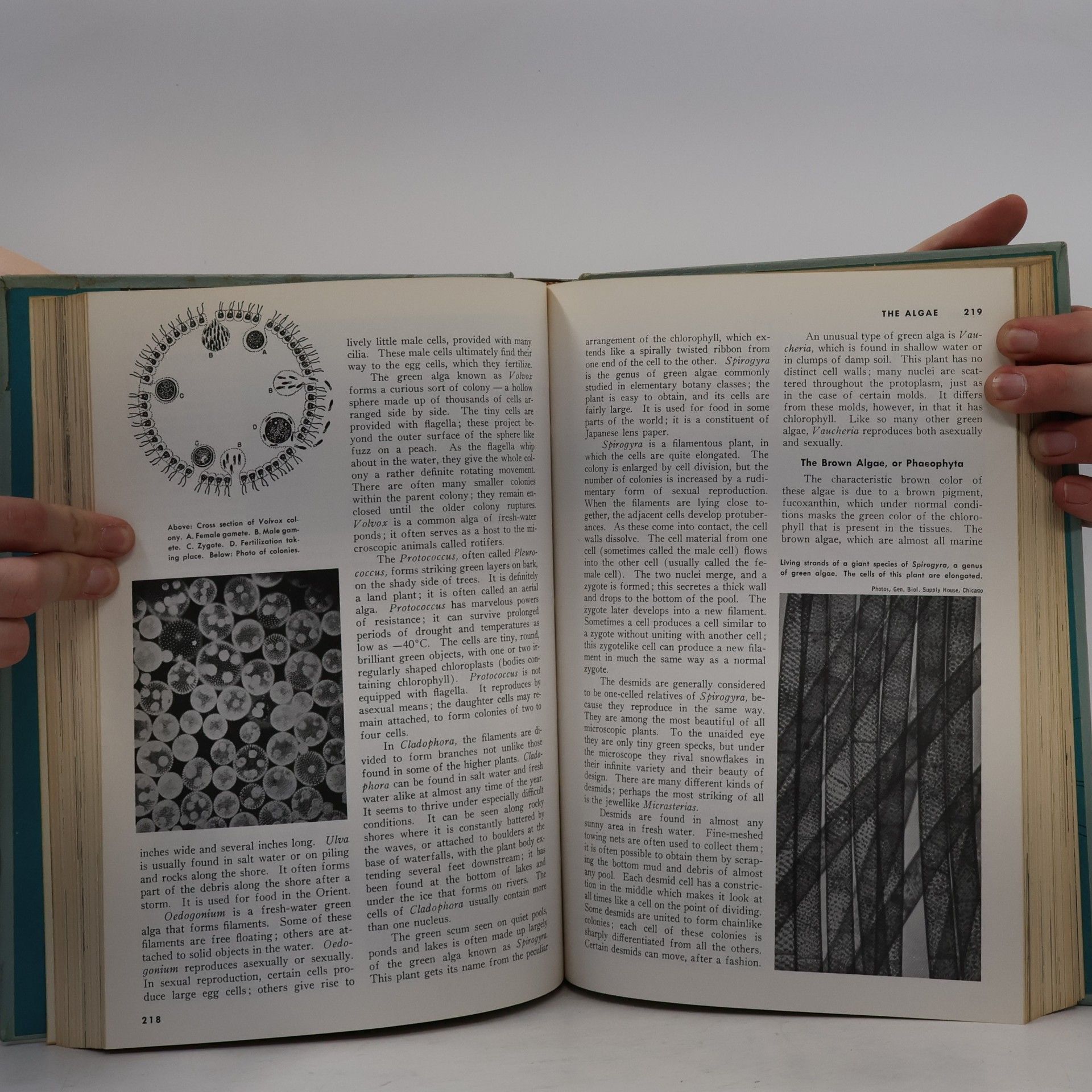 Autorenkollektiv The Book of Popular Science 3