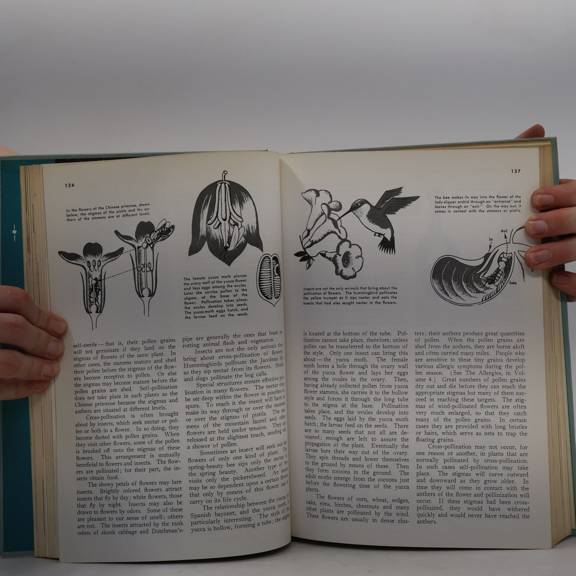 Various authors The Book of Popular Science 4