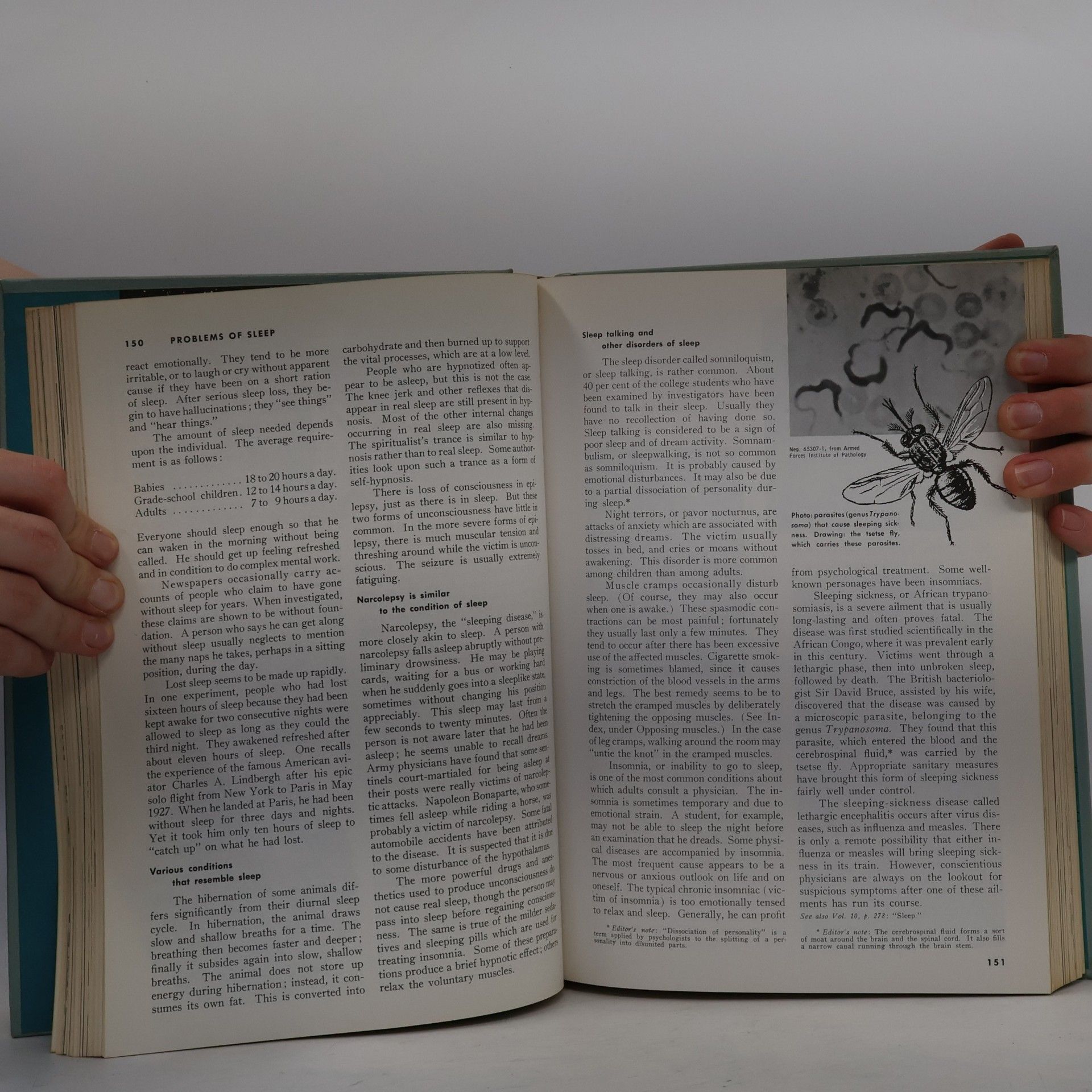 Autorenkollektiv The Book of Popular Science 6
