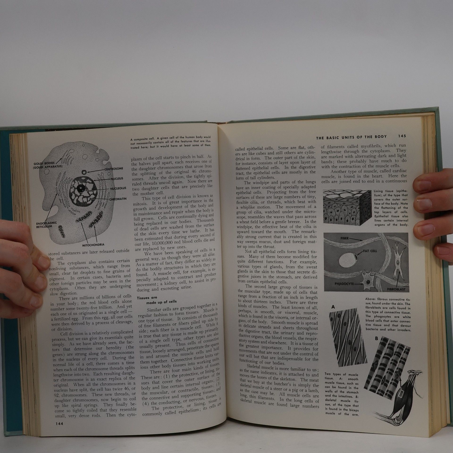 Autorenkollektiv The Book of Popular Science 1